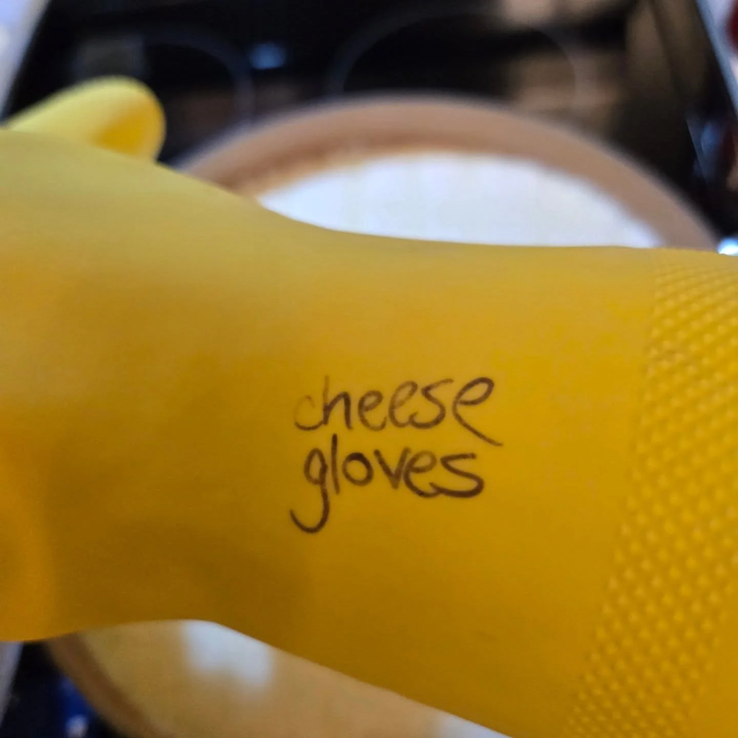 Hello, Cheese Gloves, my old friends.
I've come to make good things again.

#Cheese #goatmilk #mozzarella