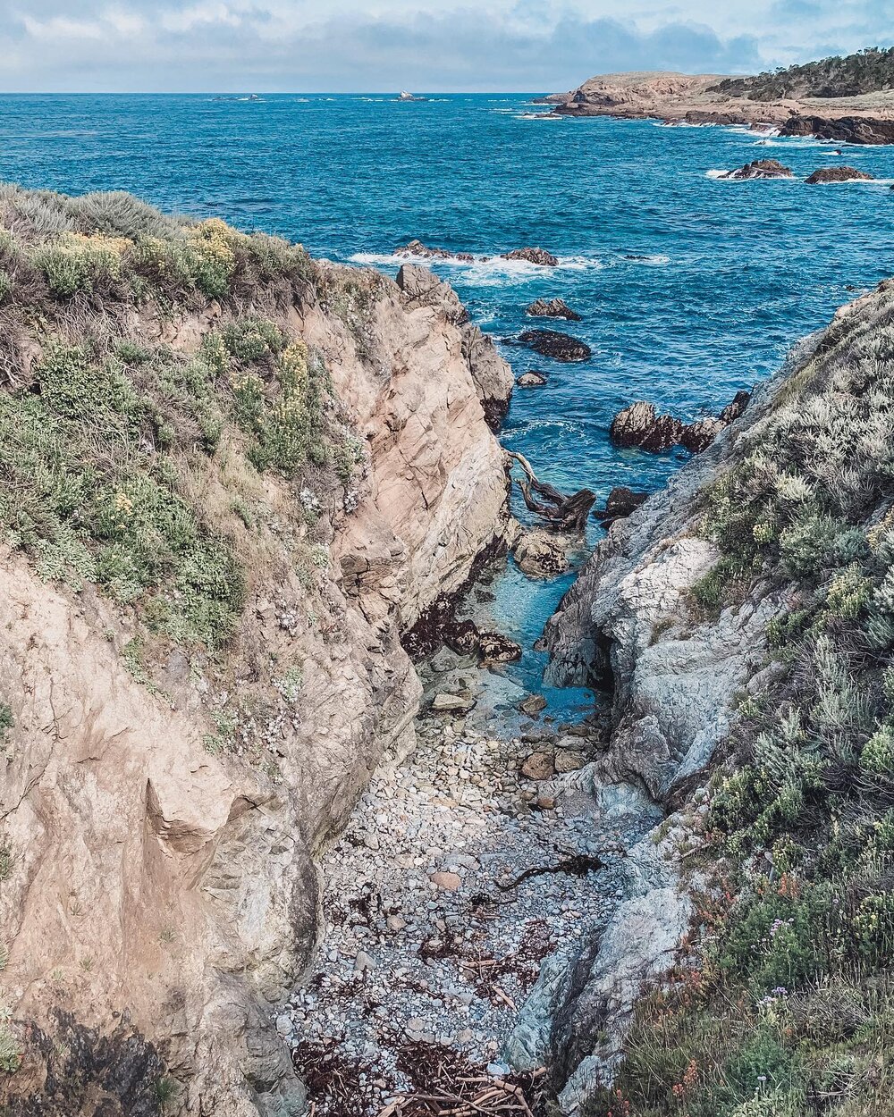 Point Lobos Natural Reserve was one of my favorite stops along the PCH in California.

There are plenty of trails to explore here and lots of animal watching to be done.

The one part about it that was inconvenient was that dogs are not permitted in 