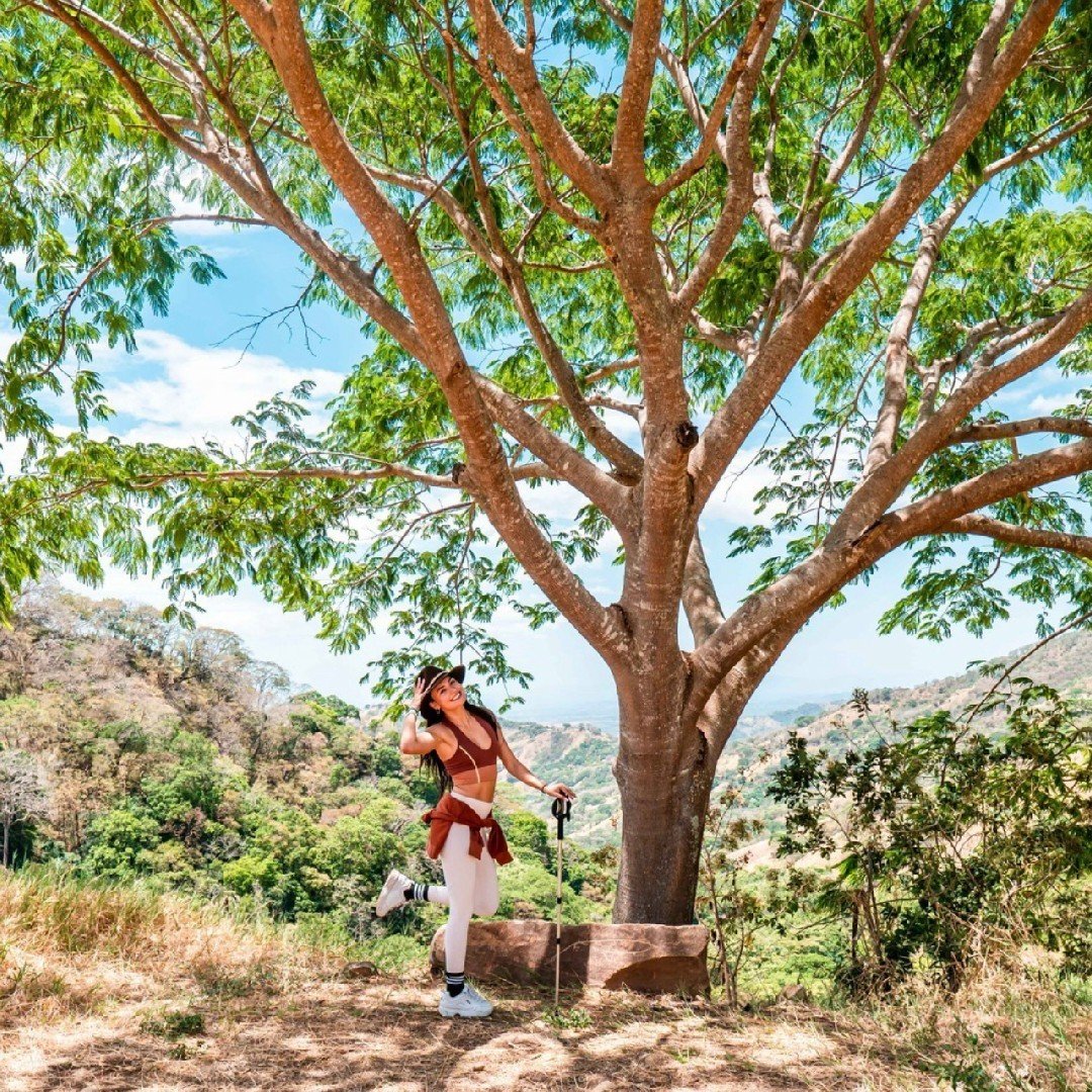 It's Love a Tree Day! 🌳 For an immersive experience in nature we recommend @TheRetreatCostaRica Nature Hike. Explore their stunning crystal quartz mountain and the variety of indigenous plants and trees of Costa Rica's landscape.⁠
⁠
