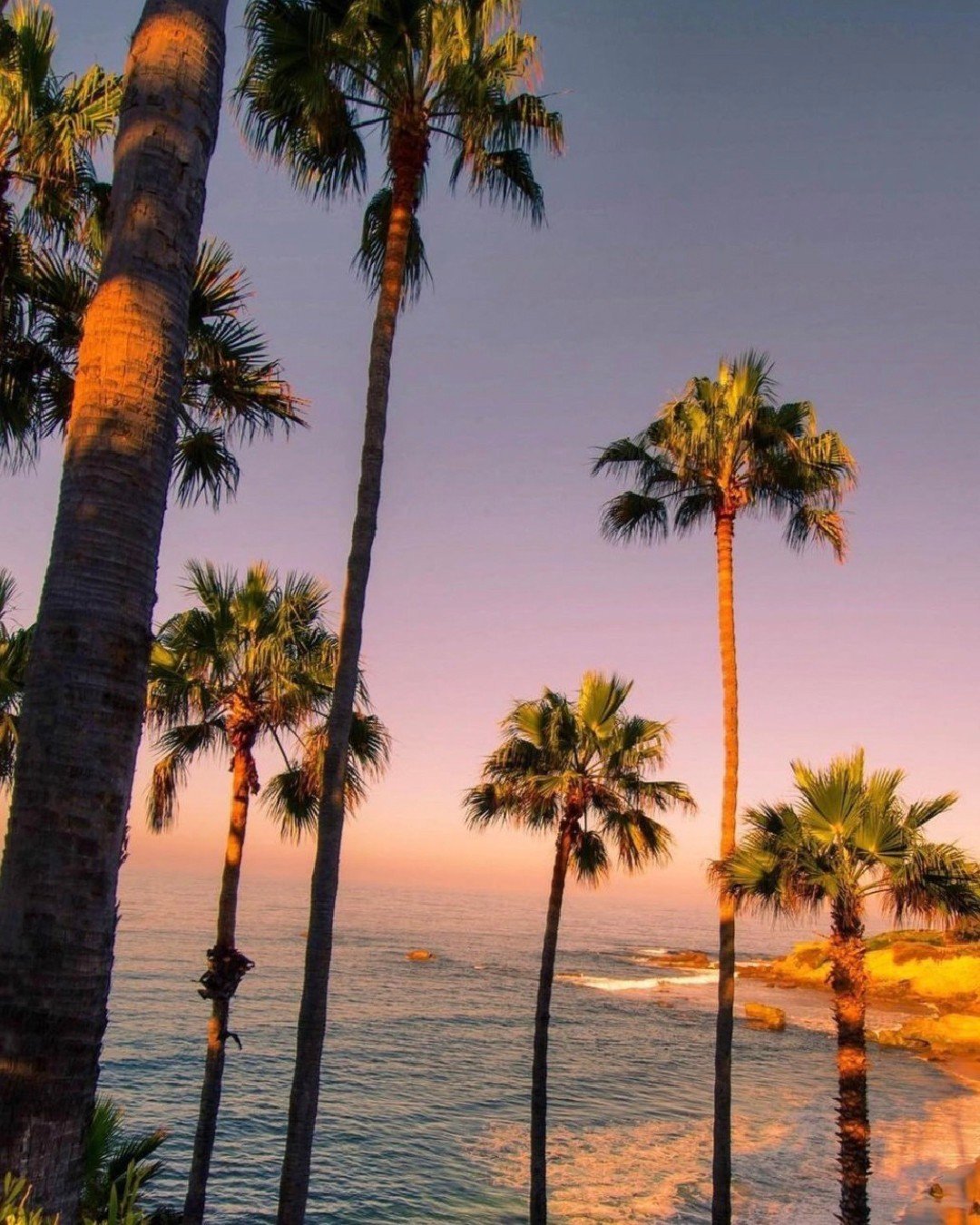 Golden hour, meet your match. 🌴 Kicking off summer with a warm thank you to our resort and hospitality clients who make sunshine a lifestyle.