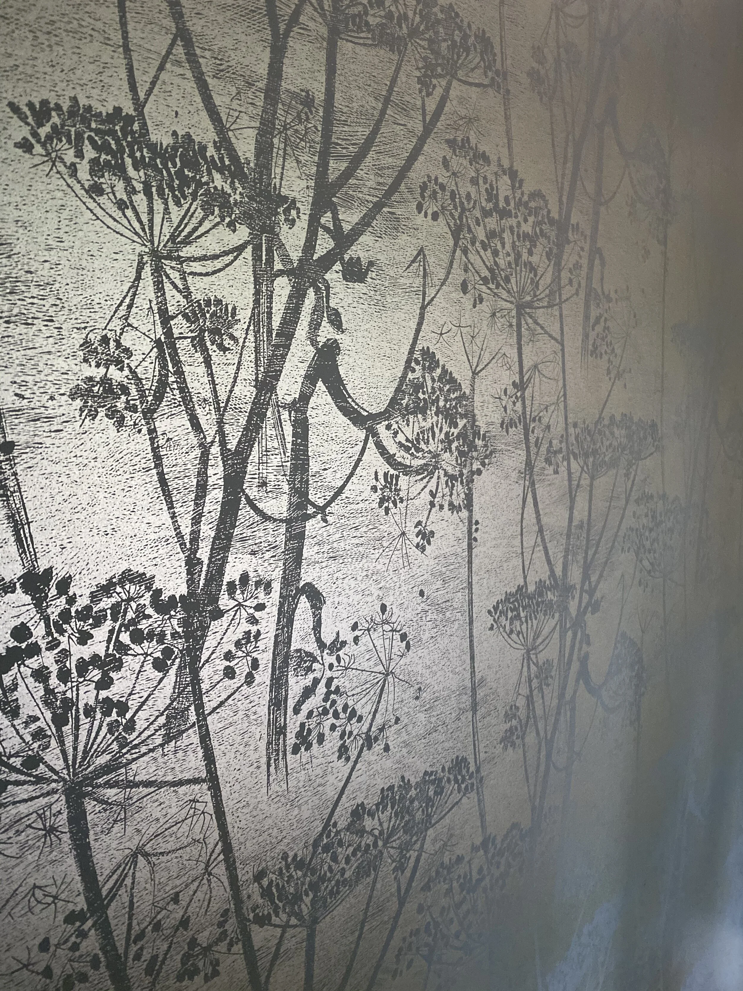 Cole & Son Cow Parsley 