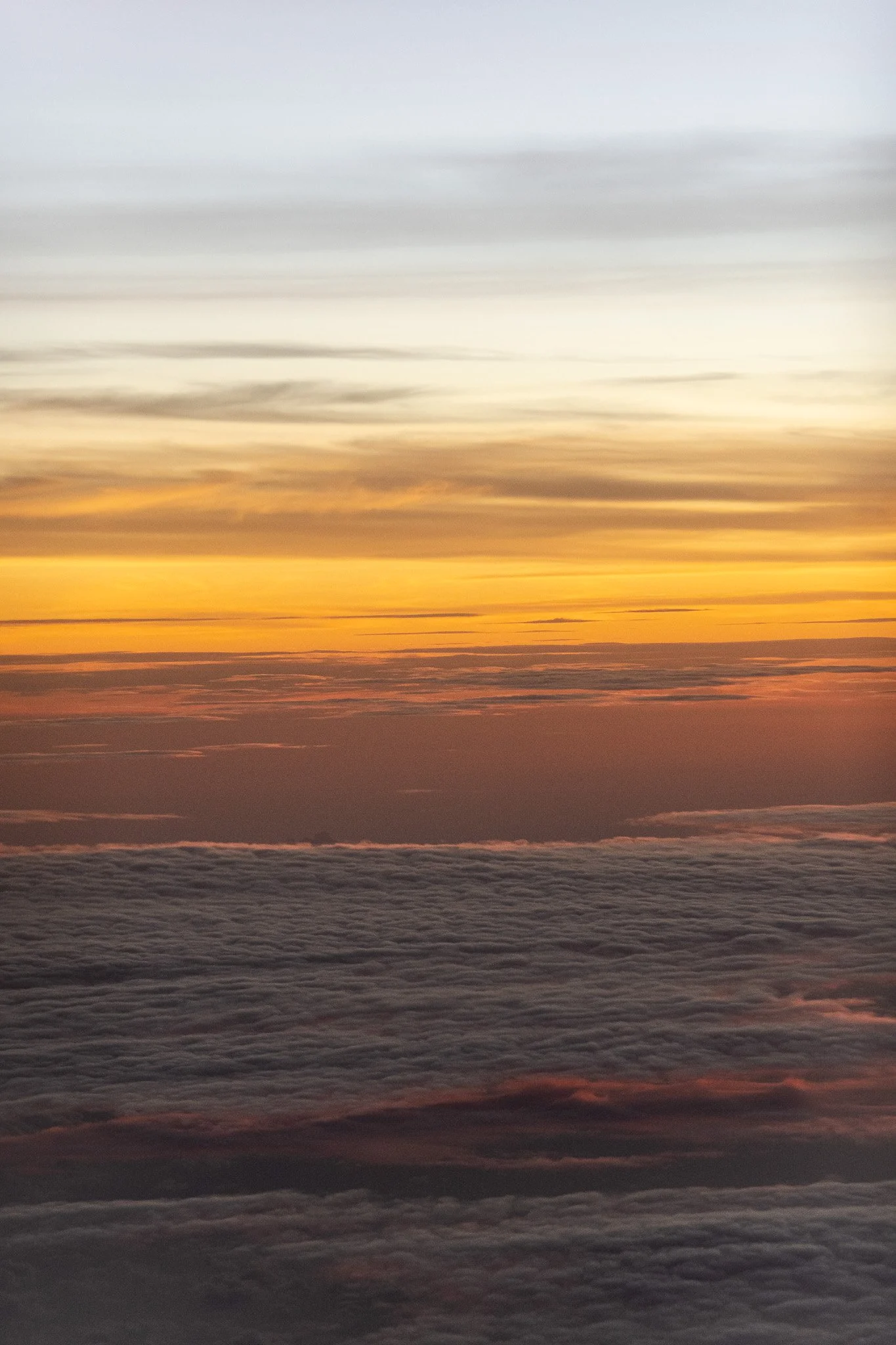 DSC09627 2.JPG