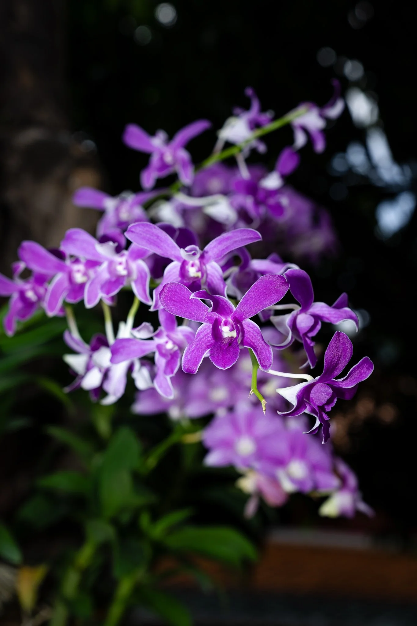 DSC03619.JPG