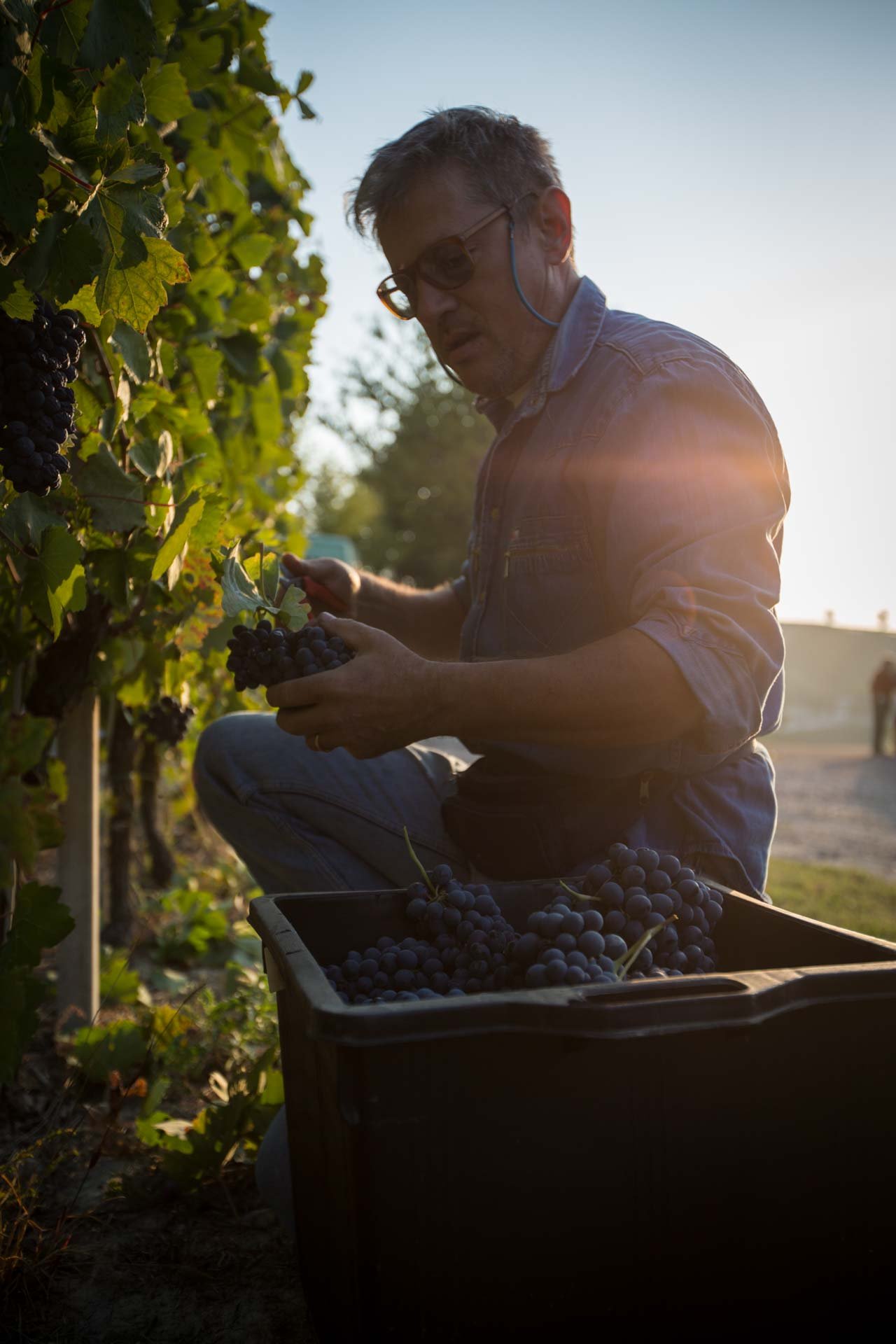 Istantanee_di_vino_Riccardo_Pittaluga_51.jpeg