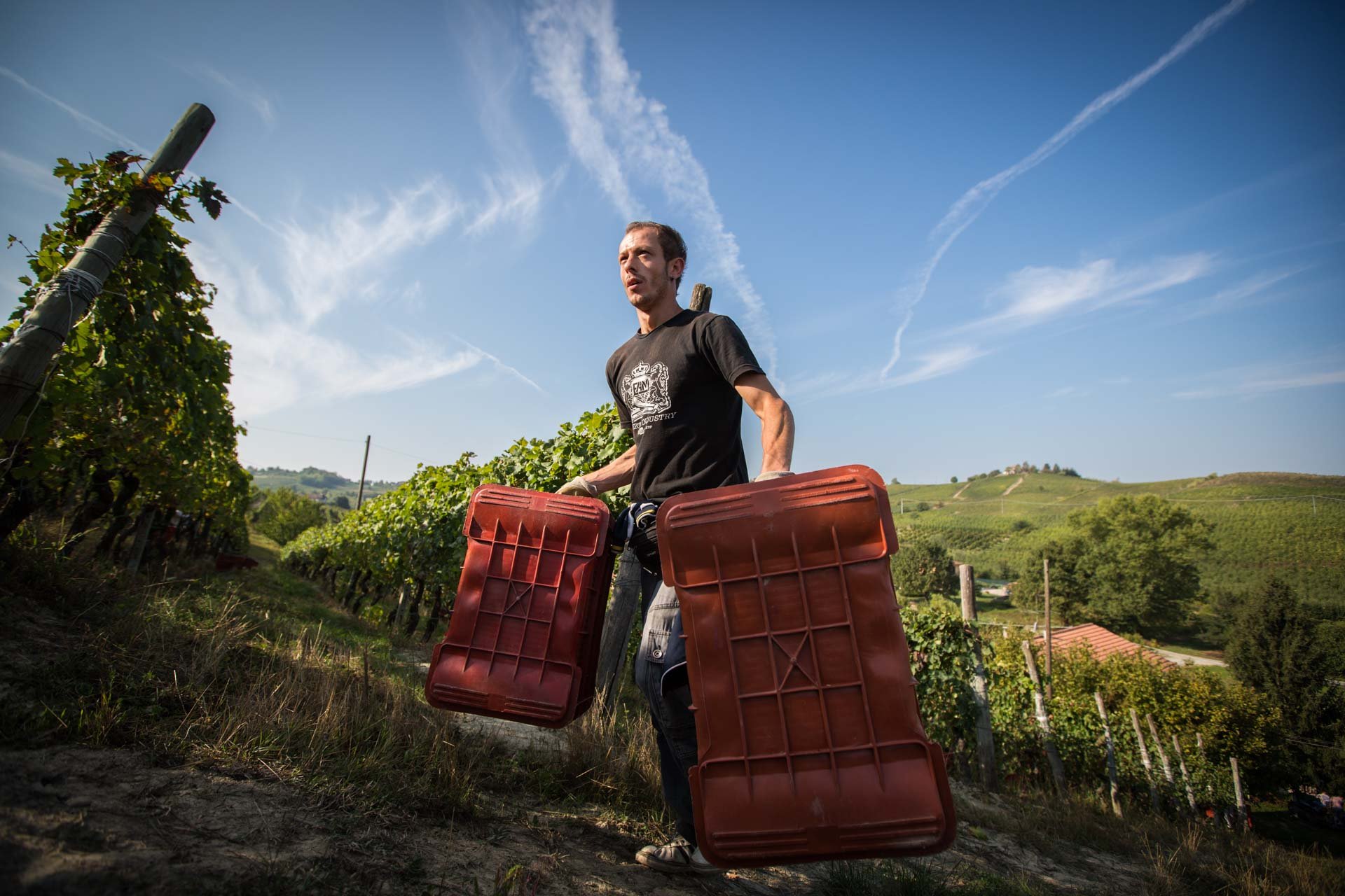 Istantanee_di_vino_Riccardo_Pittaluga_09.jpeg