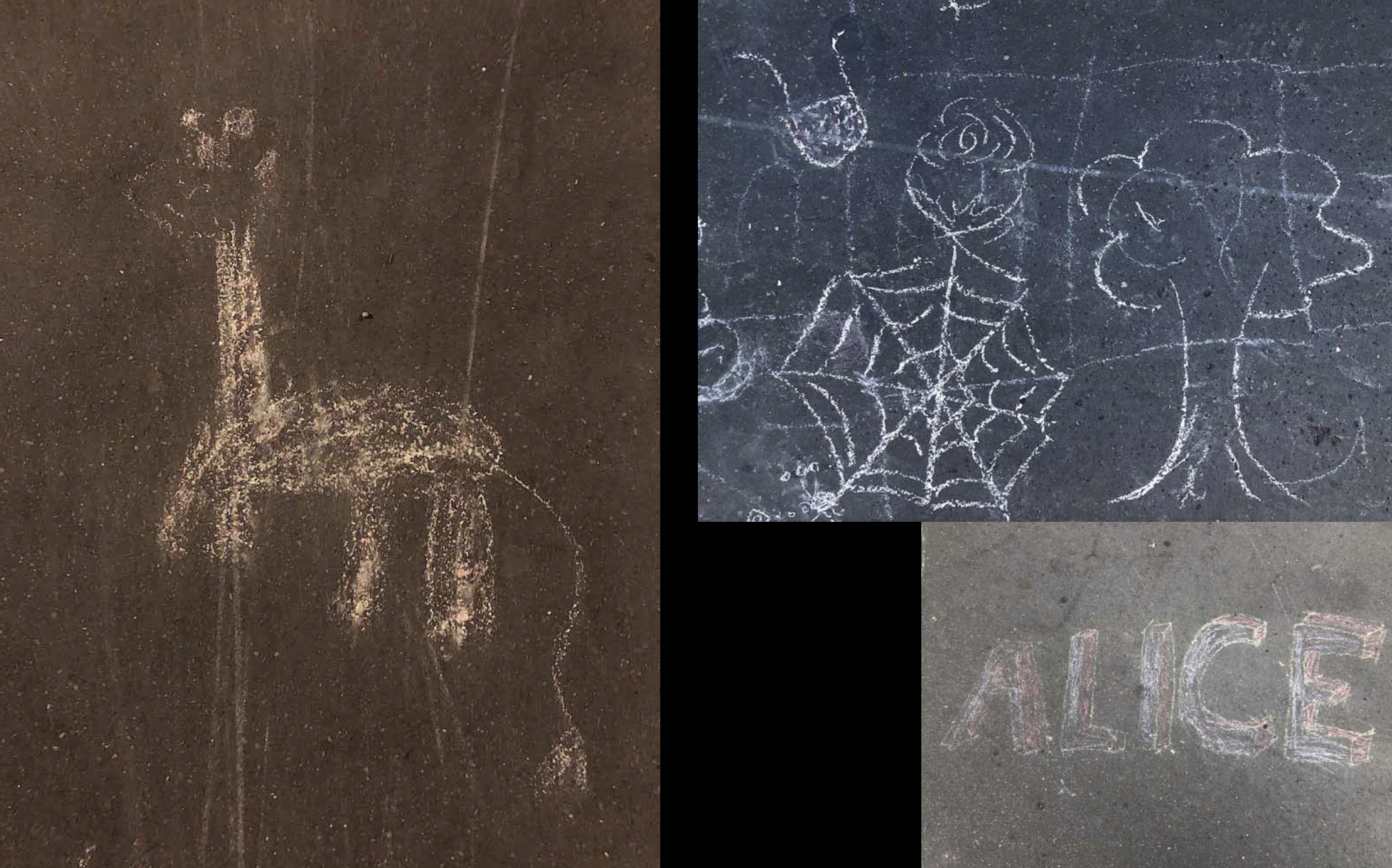 Screen Shot 2022-09-23 at 10.29.40 AM.png