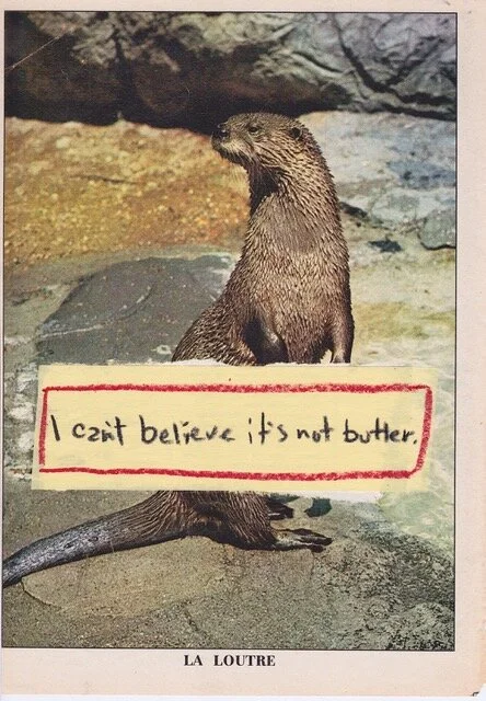 Matthew Rose, Animal Farmy, inside page, I Can't believe it's not Butter.