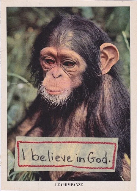 Matthew Rose, Animal Farmy, inside page, I believe in God