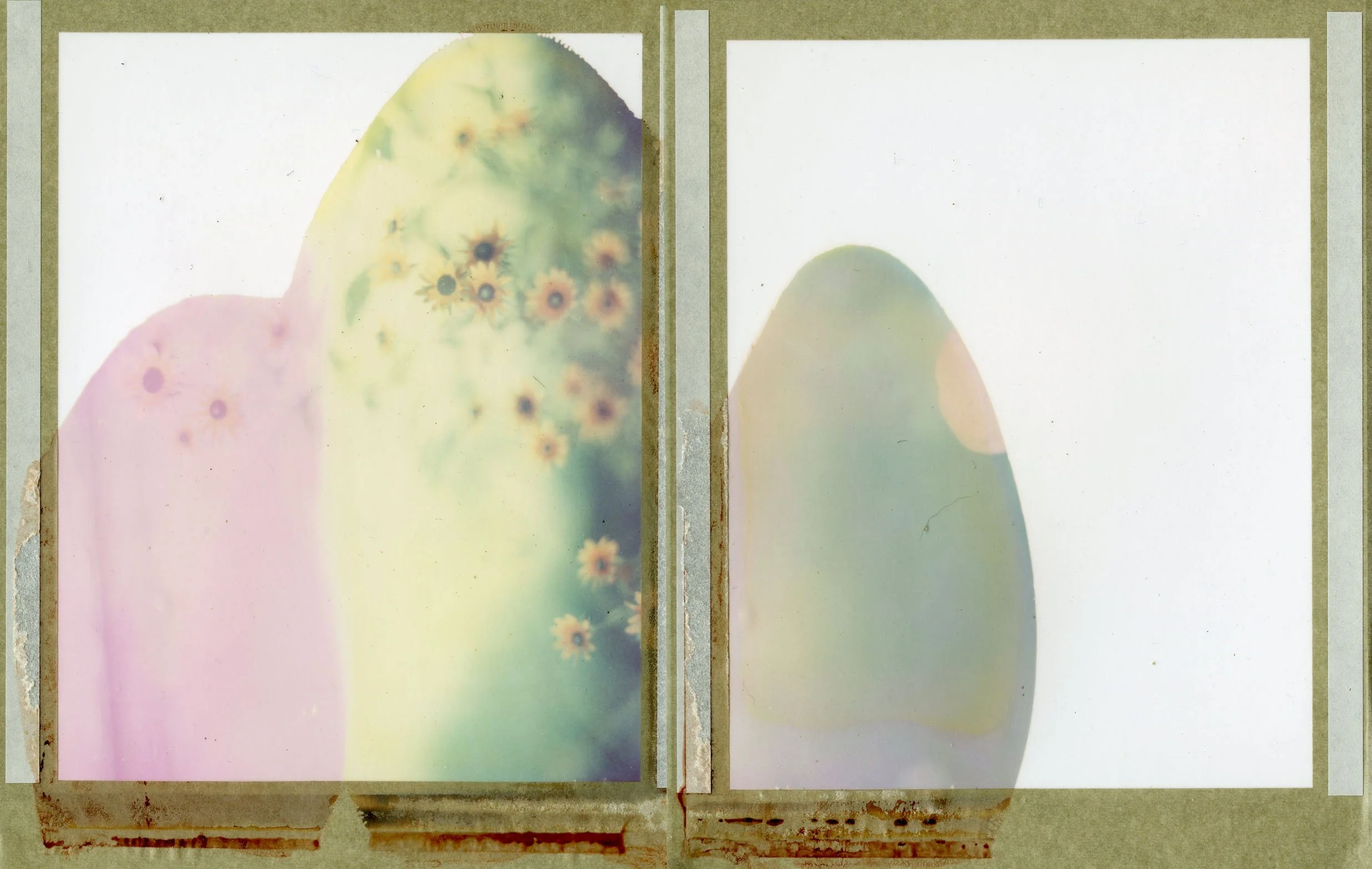 Philip Greene, "Untitled," print from a expired Polaroid film -- Diptych,  PRICE REALIZED
