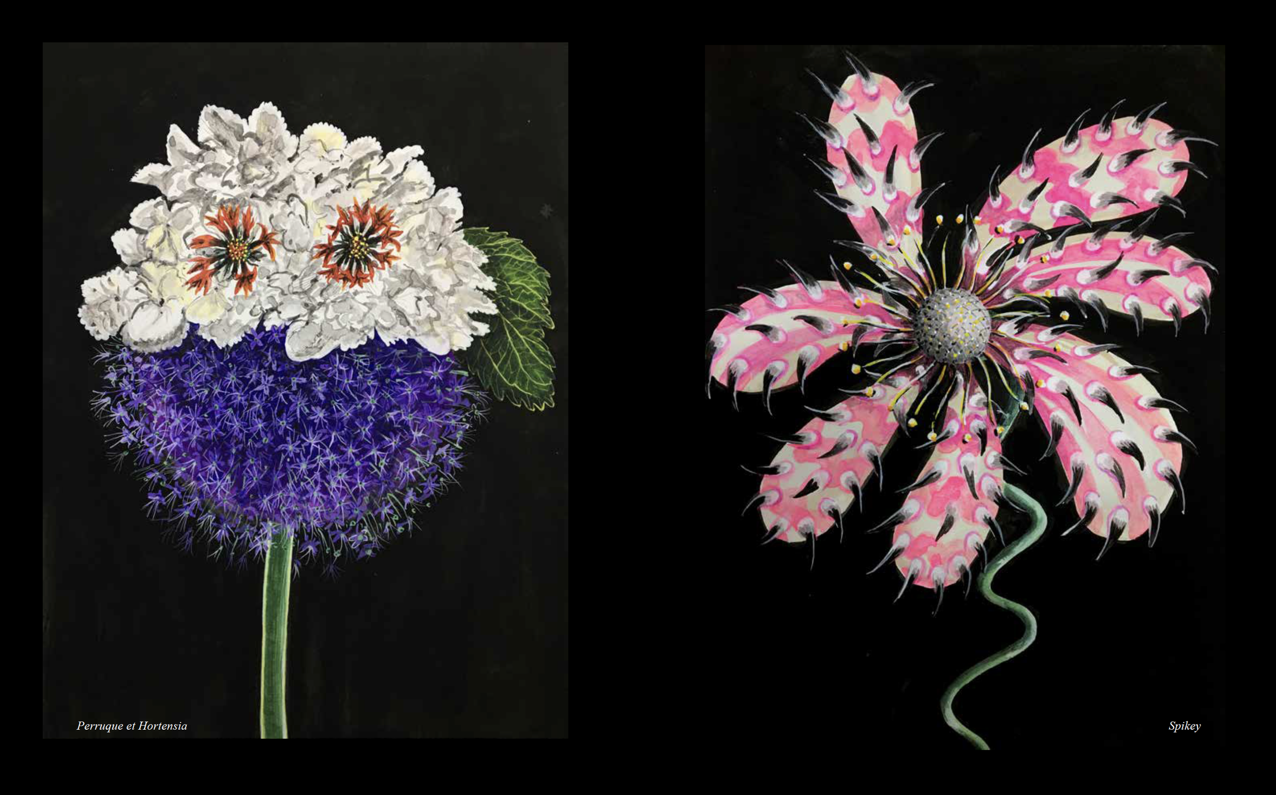 Screen Shot 2022-04-03 at 12.11.57 PM.png