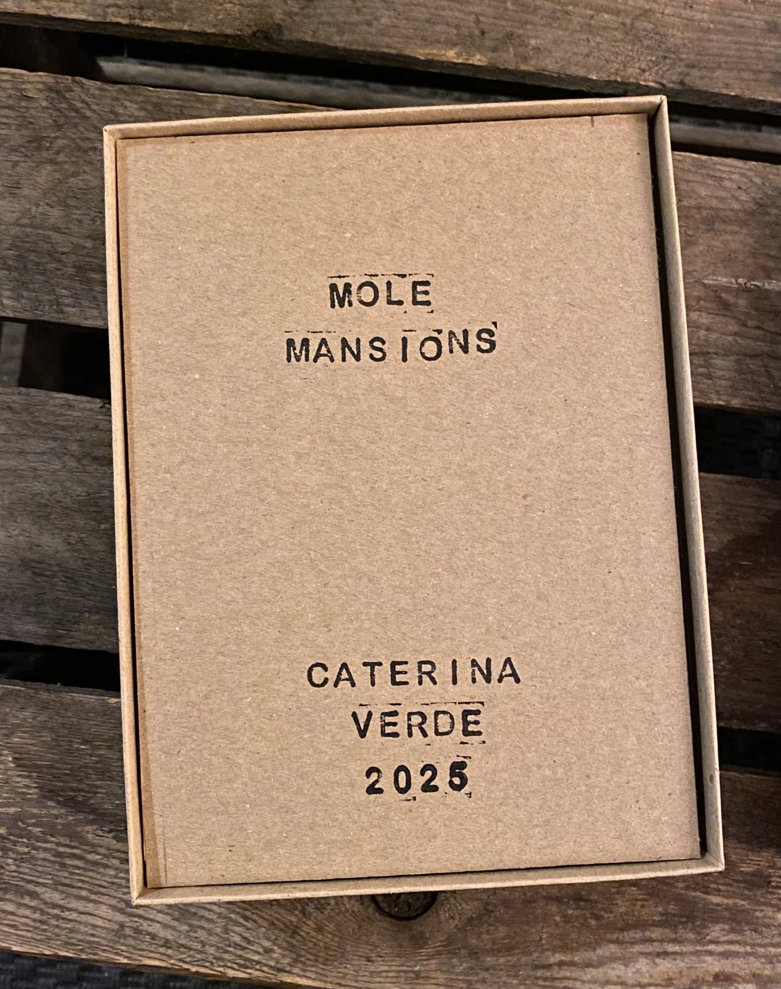 1-Caterina-Verde-Mole-Mansions_0181.jpg