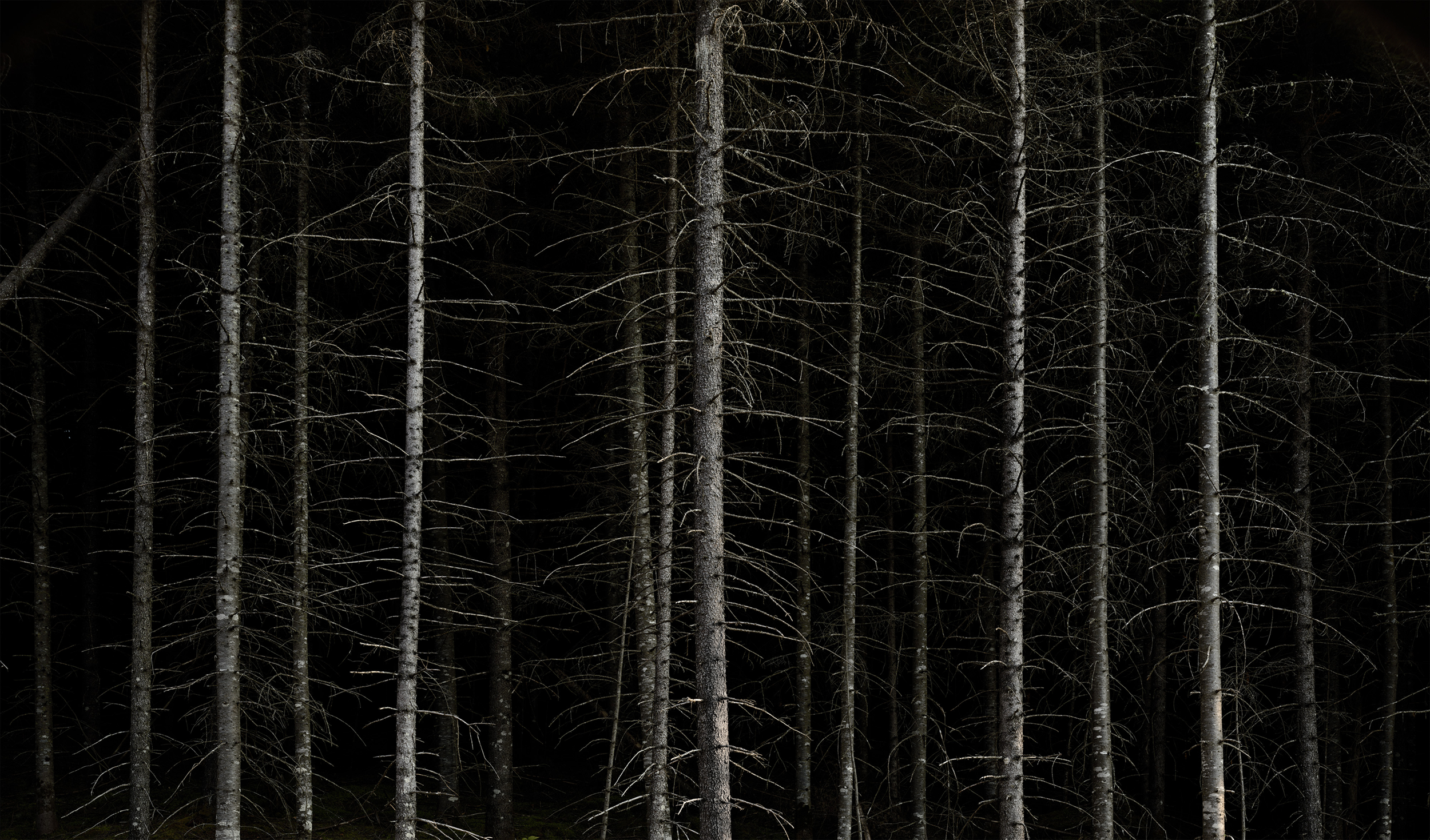 Burnt Mountain I.png