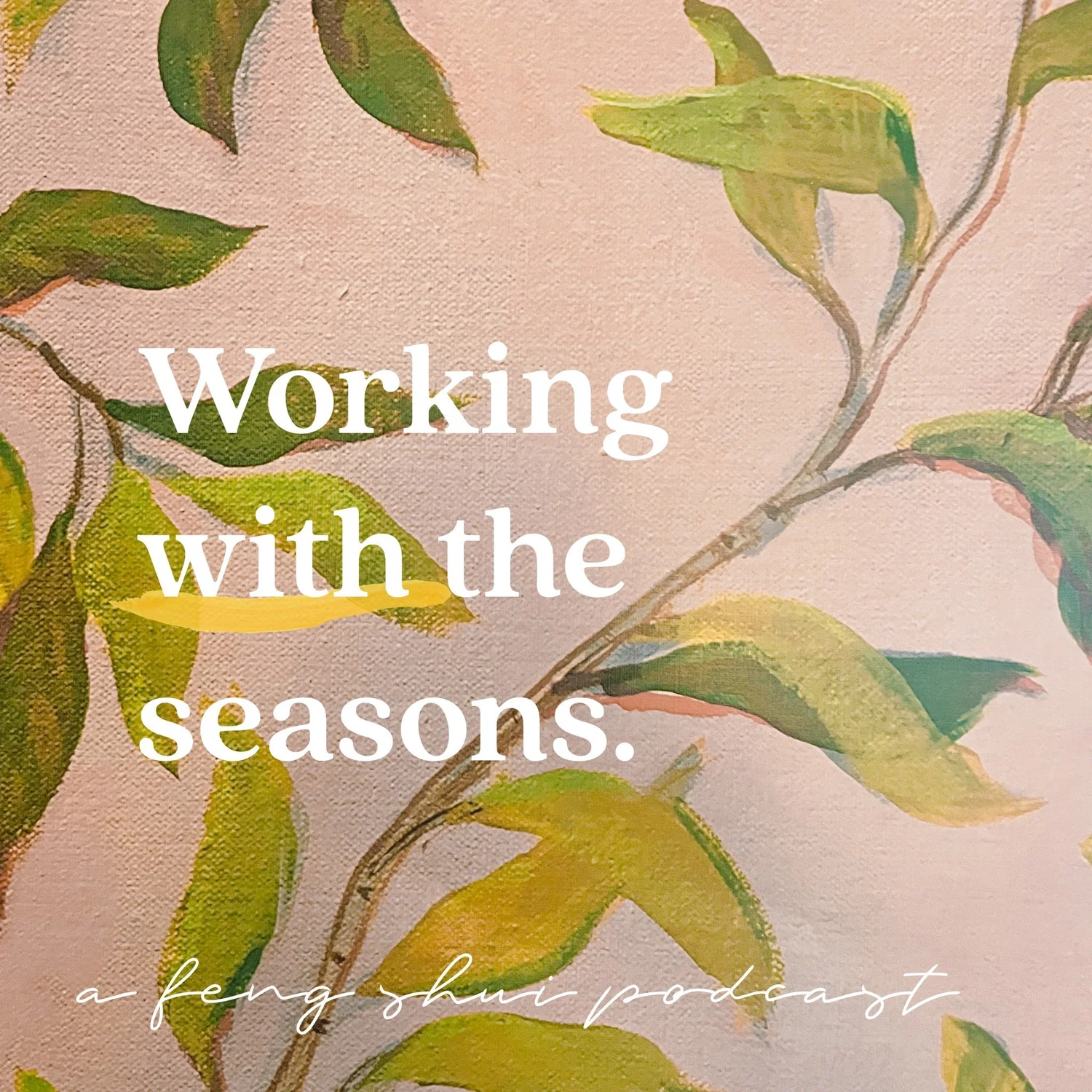 Working with the Seasons episode artwork