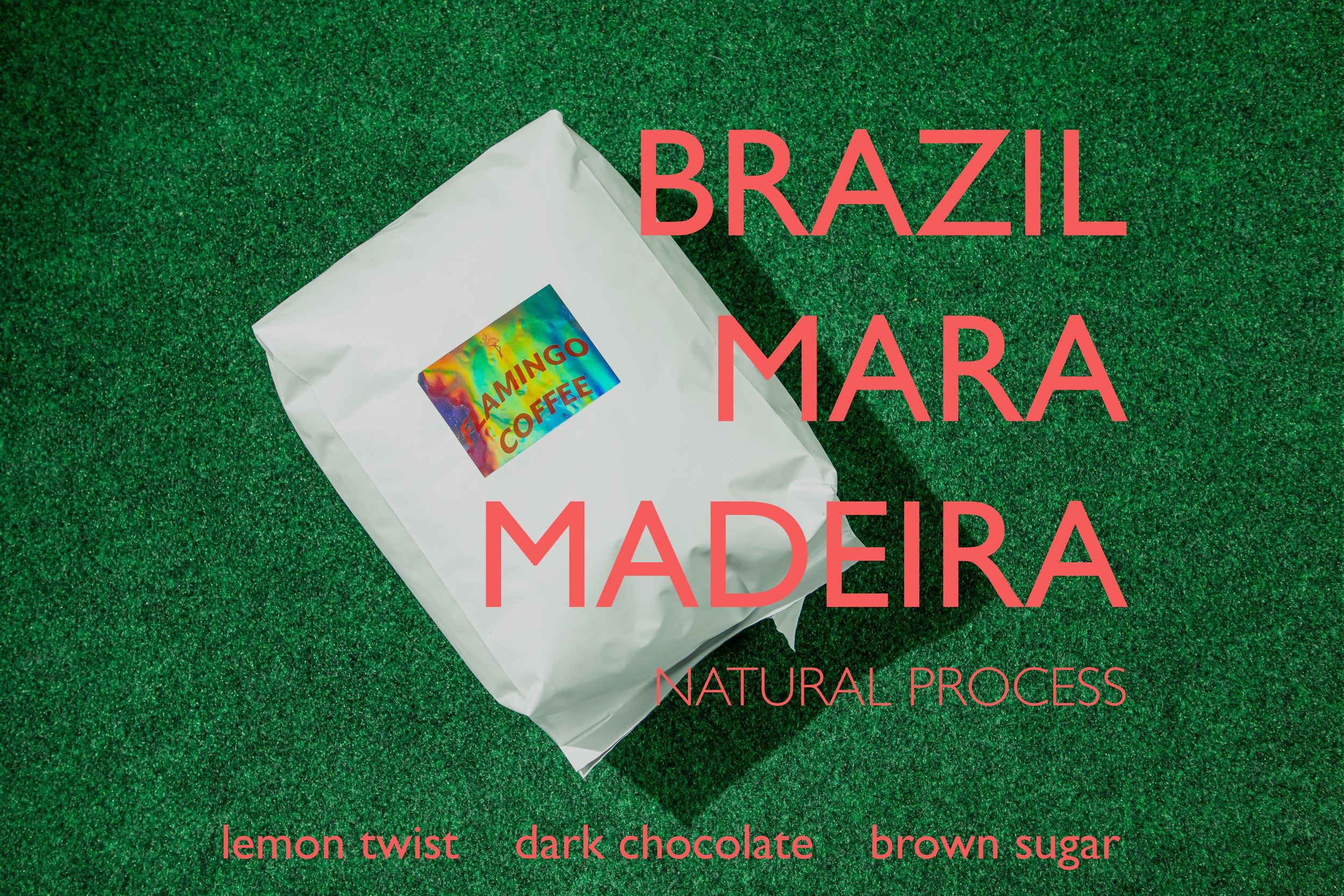 brazil5lb.jpg