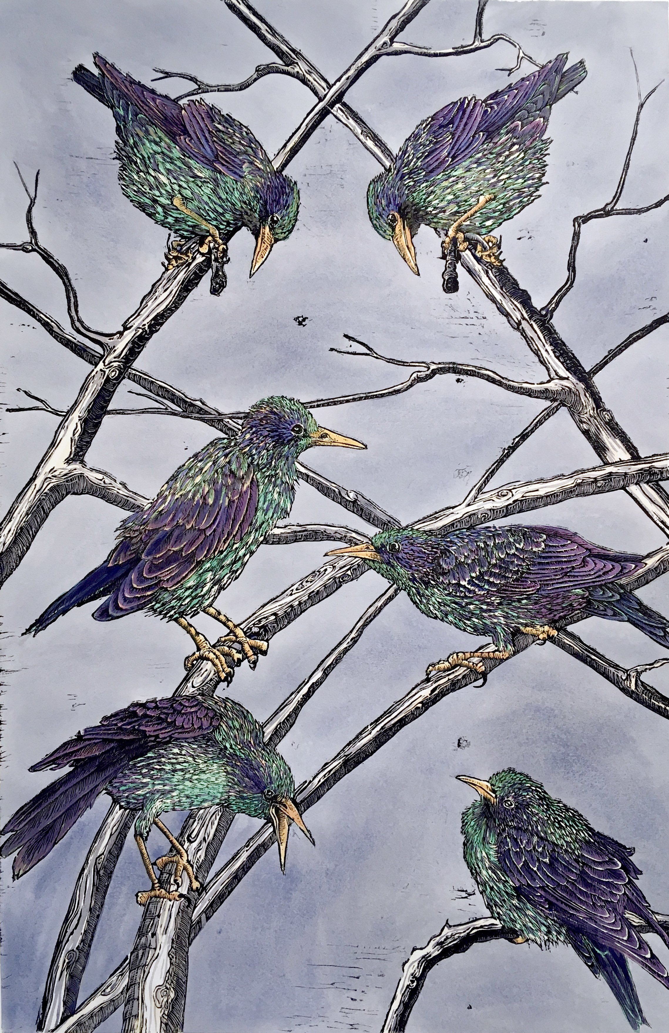 Starlings I