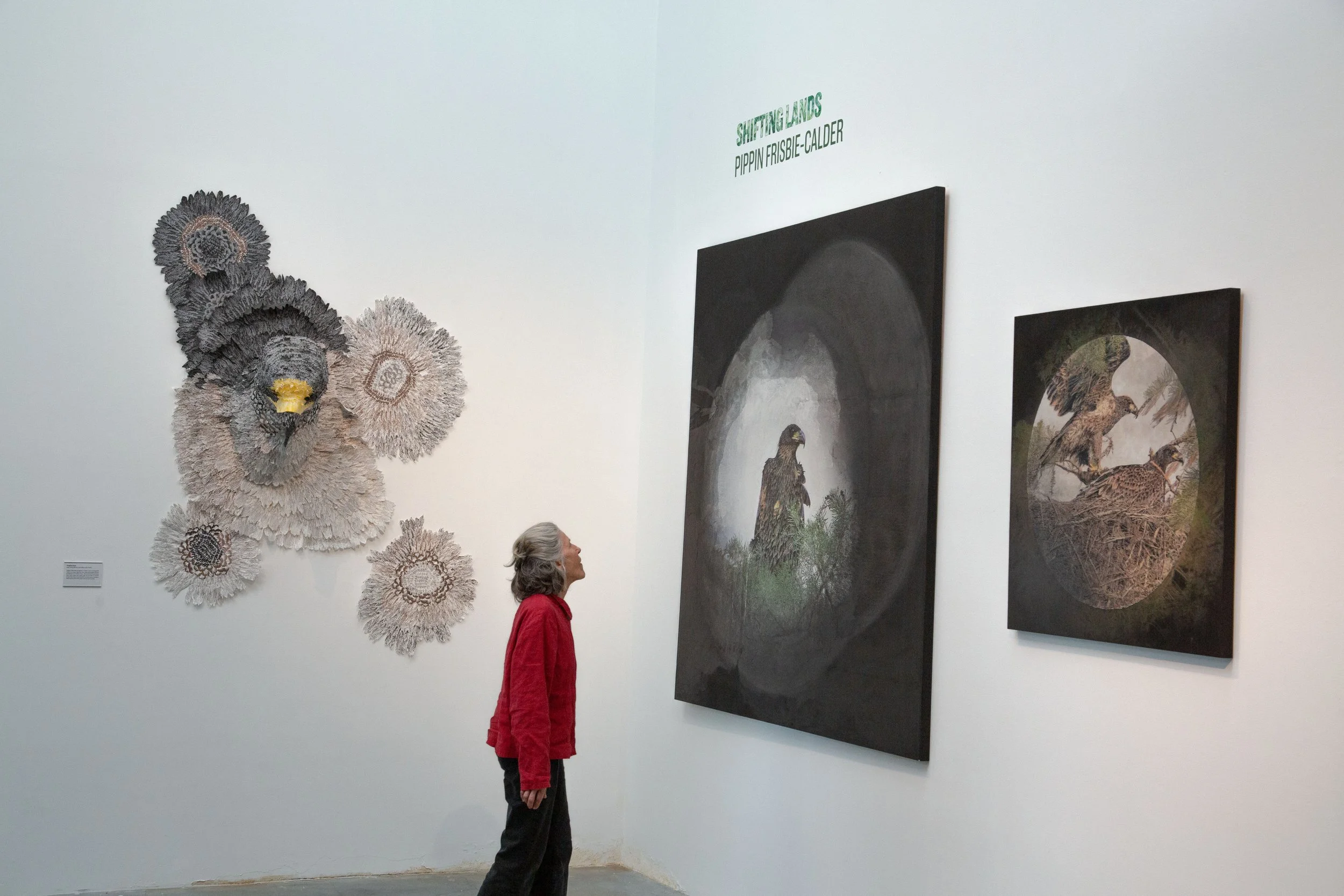 mom with peregrine and falcons small.jpg