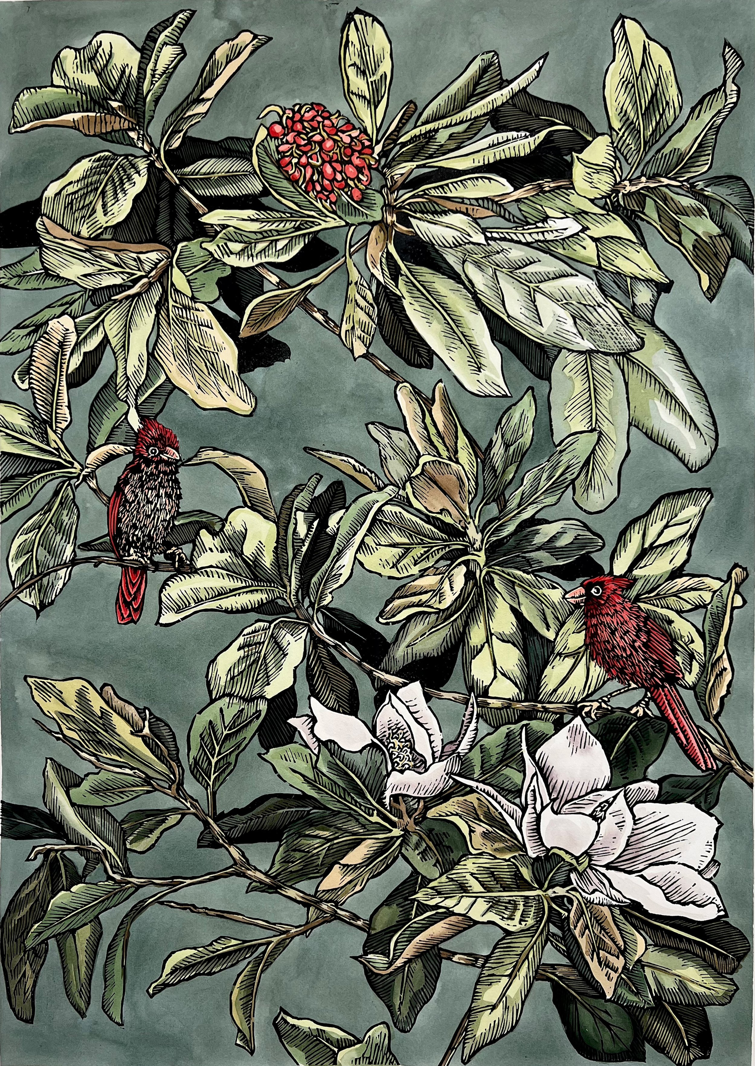 Magnolia and cardinals.jpg