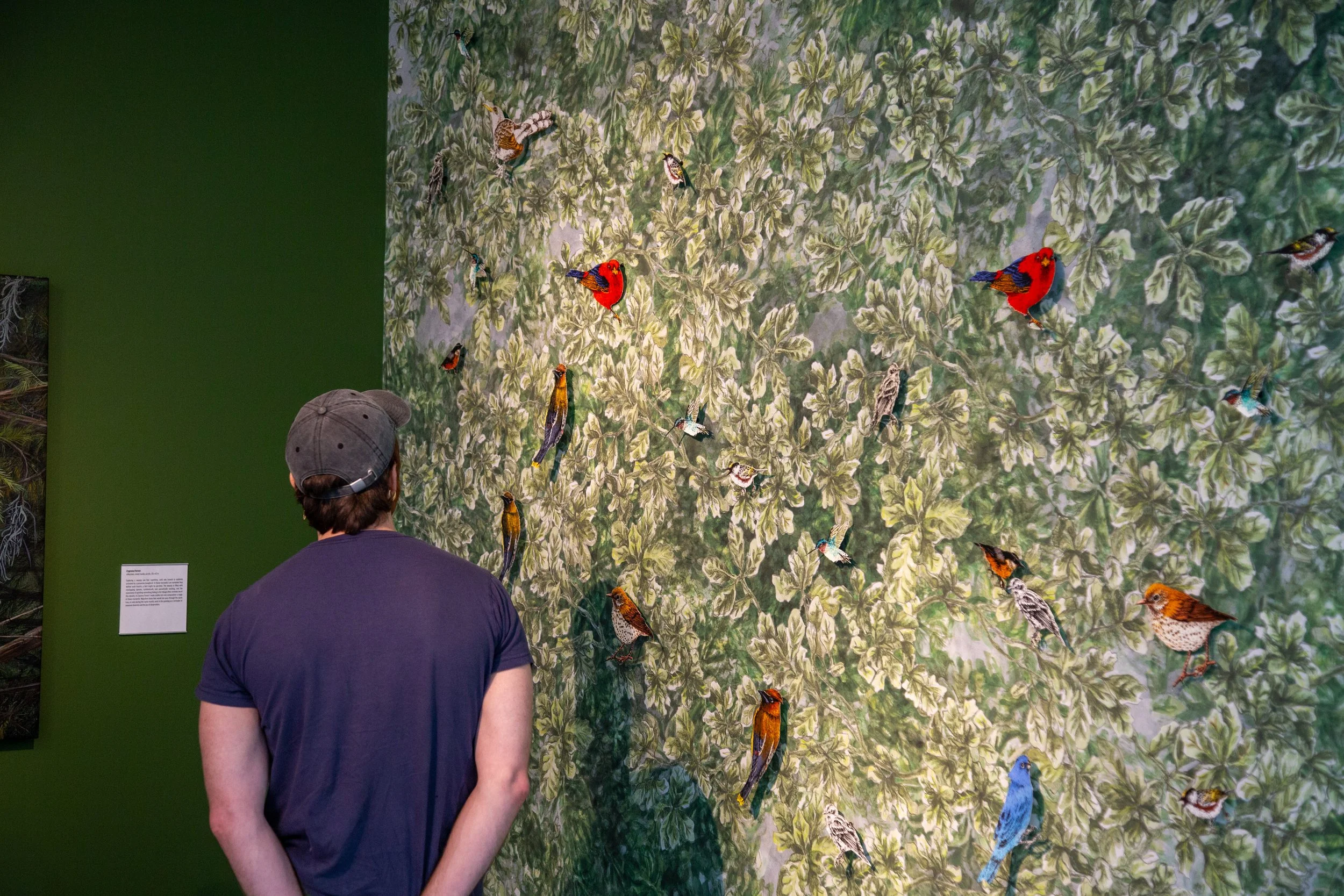 canceled Edition the art of birding.jpg