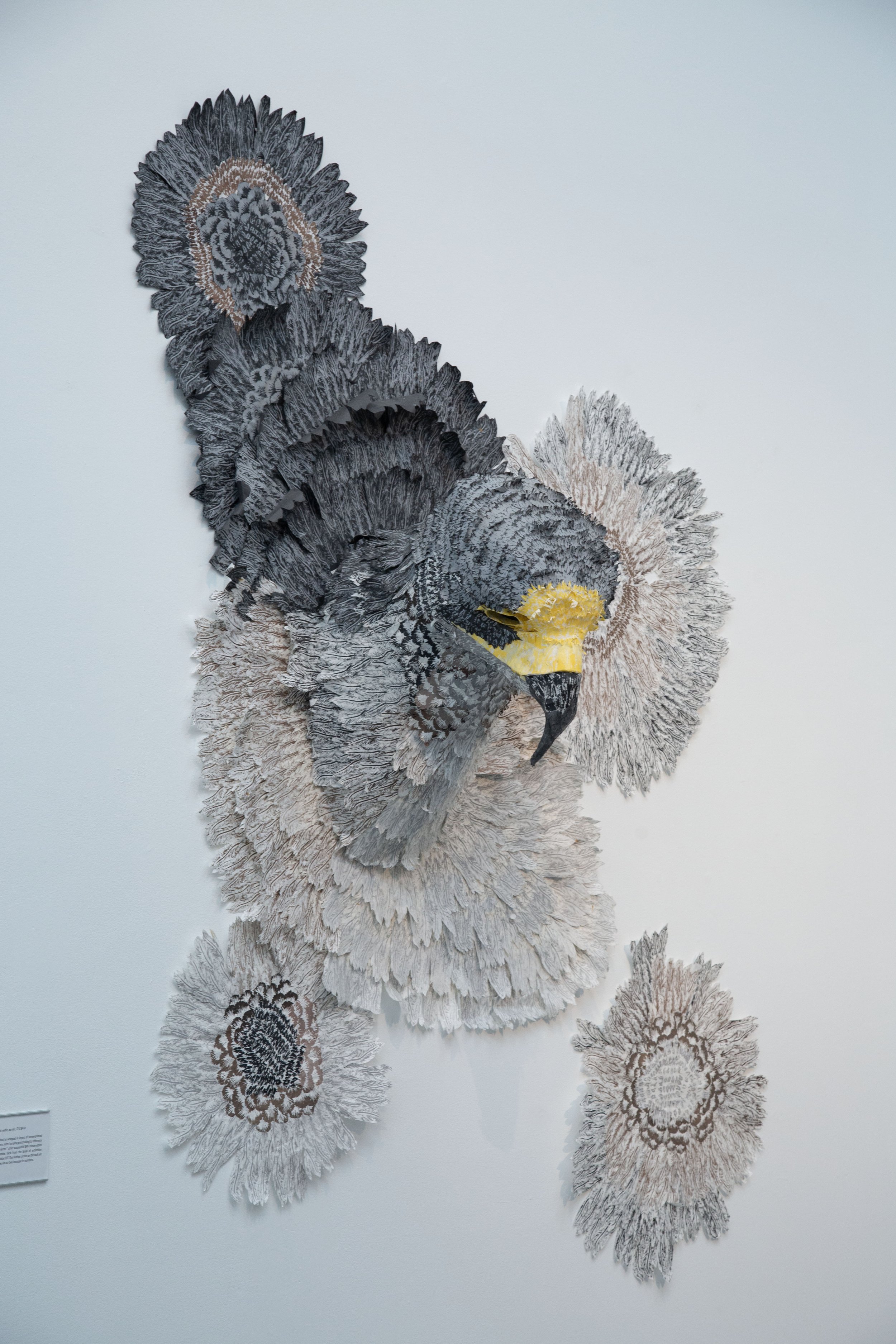 peregrine to edit.jpg