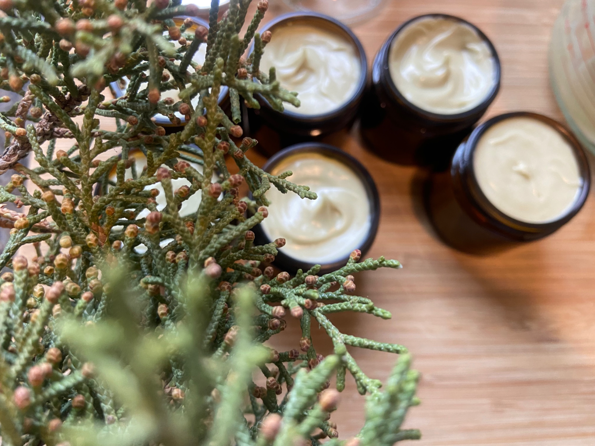 Deodorant Cream w/Magnesium