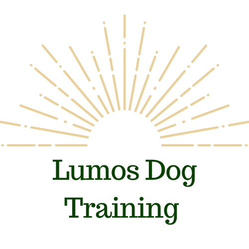 Lumos Dog Training