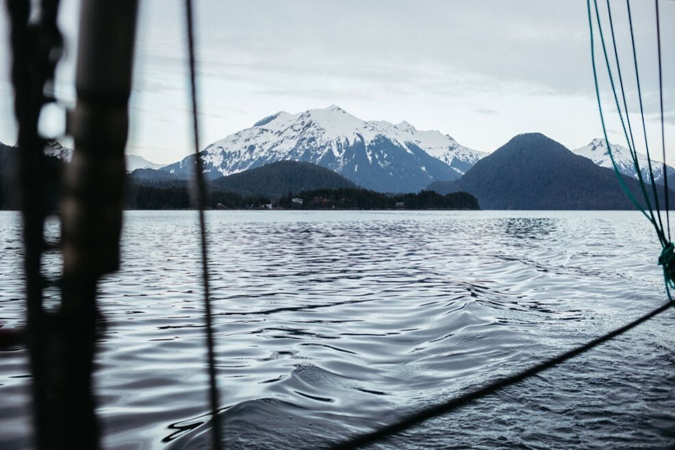 Bear Mountain, across Eastern Channel, as seen from the office.
🏔
#epicviews #sharingalaska #seafoodproducerscooperative #salmontrolling #commercialfishing #woodenboats #thesaltlife #mountainsandocean #dowhatmakesyouhappy #alaskagoldseafood