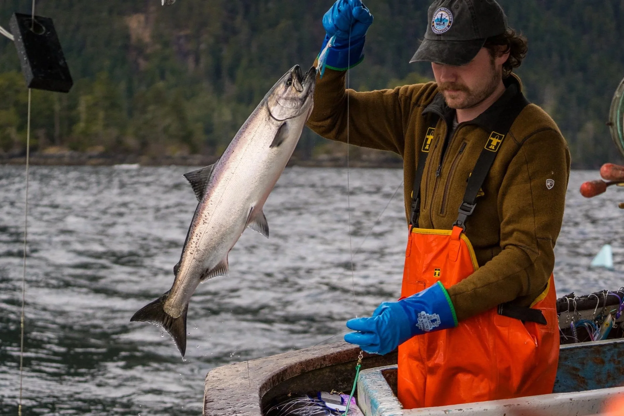 alaska-sitka-seafood-producers-cooperative-salmon-troller-alaska-goldAM305552.jpg