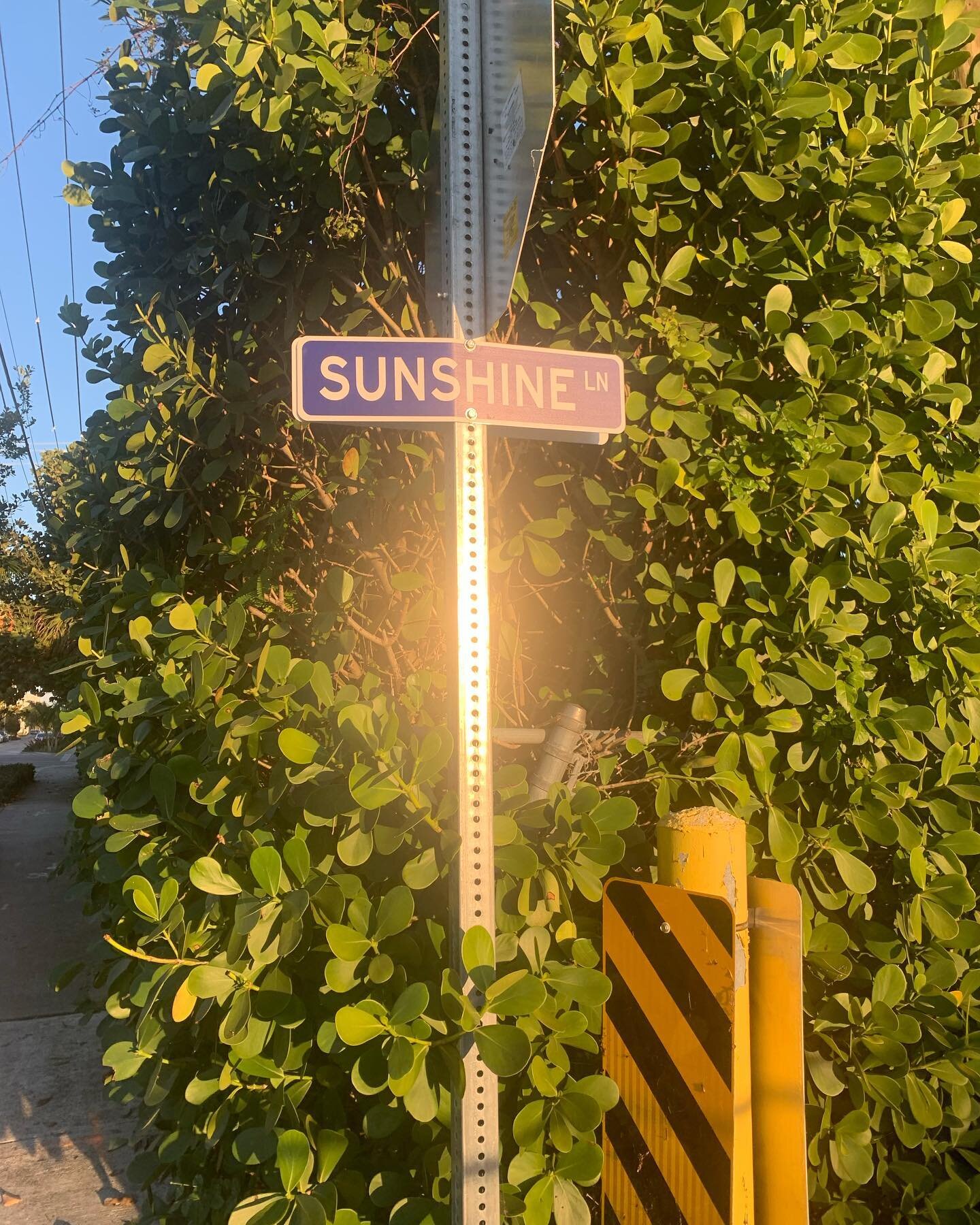 Quitting the coolness of the shade.  #vitamind ☀️ #sunshinestateofmind