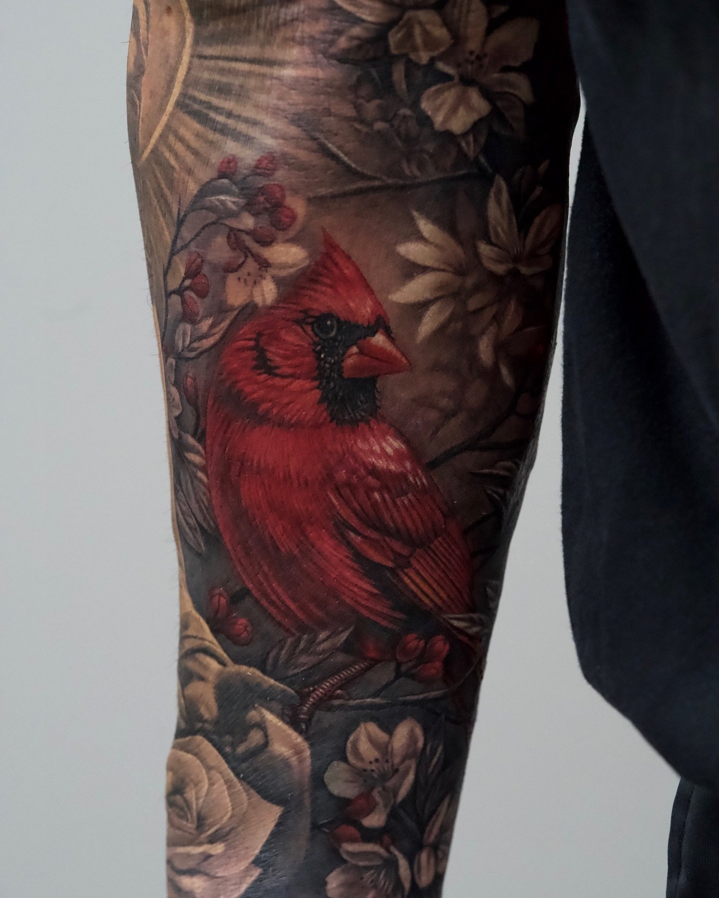 Look at the detail on this Cardinal bird 😮&zwj;💨❤️ done by @brandedredart 
Brandon&rsquo;s booking June/July for large scale work; put in a consult request online to get booked in ✨
&mdash;&mdash;&mdash;&mdash;&mdash;&mdash;&mdash;&mdash;&mdash;&md