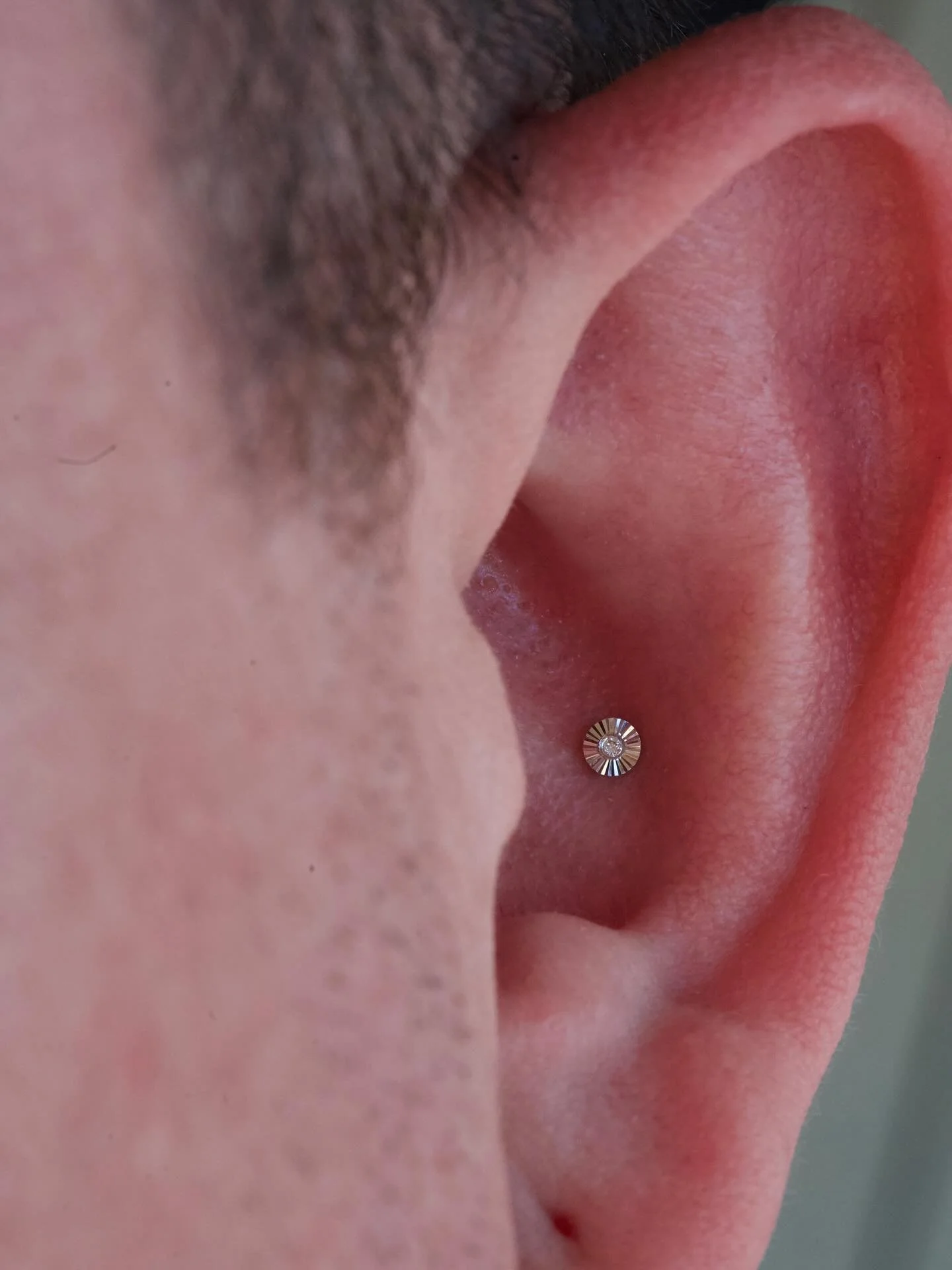 subtle but bold conch piercing by @piercingsbyemilyjane ✨ 

Stop by to see what solid gold jewelry we have in studio or book an appointment at Www.Redarttattoopiercing.Studio | text 602-688-2534💎

#arizona #mesa #phoenix #mesaaz #phoenixaz #tattoo #