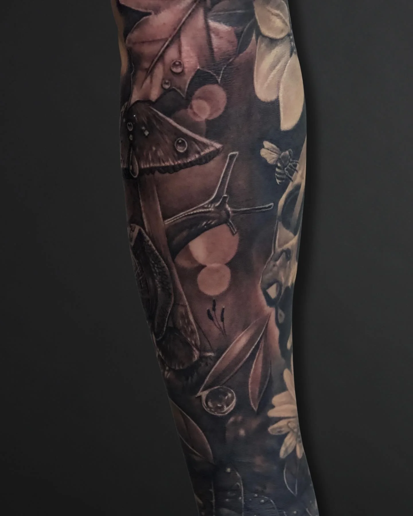 Nature is calling🍃🍄&zwj;🟫 @brandedredart really brought this piece to life..Swipe to see some insane detail👉🏼

Book an appointment at Www.Redarttattoopiercing.Studio or text 602-688-2534✨

#arizona #mesa #phoenix #mesaaz #phoenixaz #tattoo #tatt