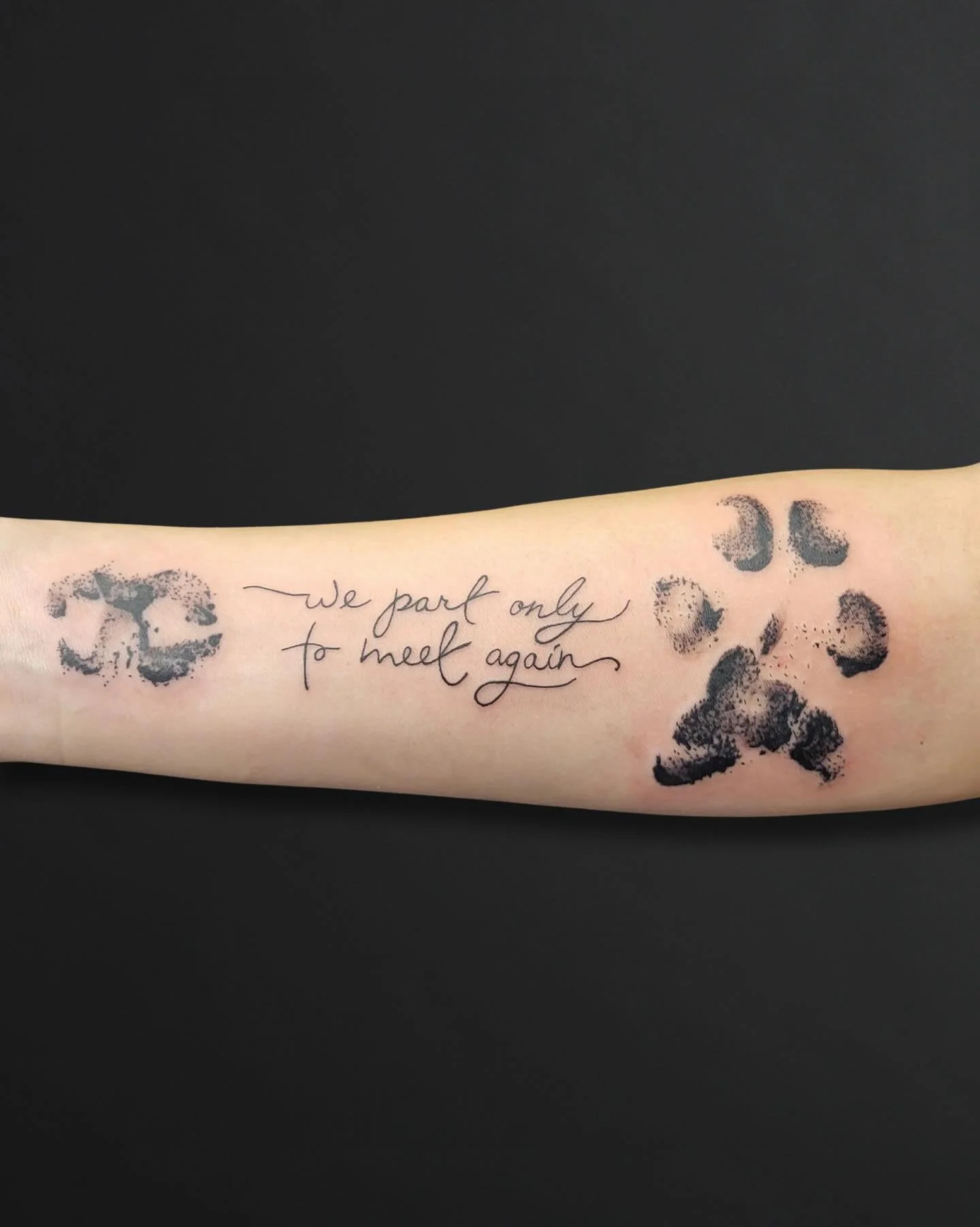 A love that leaves a mark deeper than ink🐾💫 @_kc_draws
Book an appointment or text 602-688-2534
#arizona #mesa #phoenix #mesaaz #phoenixaz #tattoo #tattooartist #tattooshop #arizonatattoo #arizonatattooartist #arizonatattooshop #blackandgraytatt