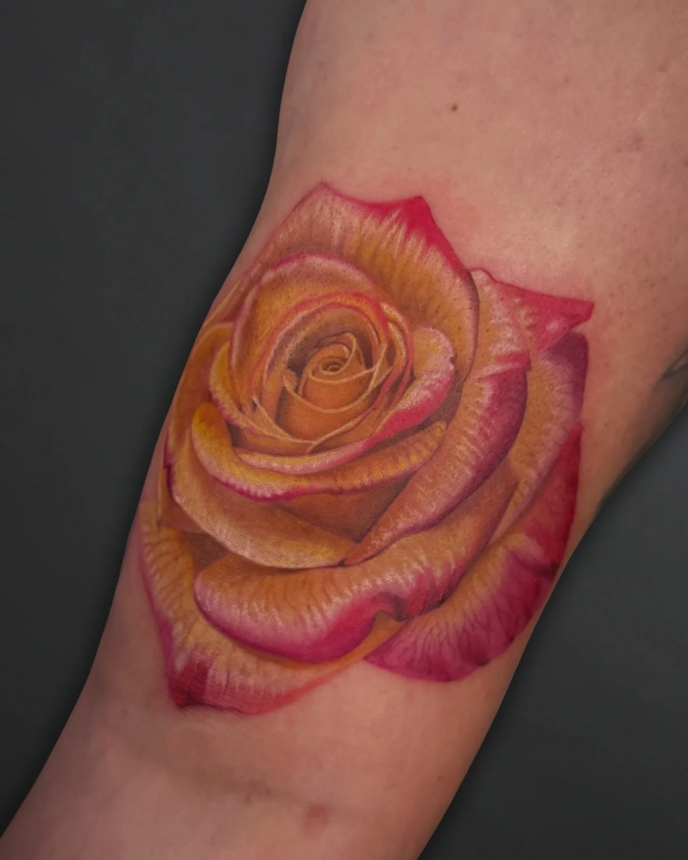 Single rose closeup 🌹

Tattoo by @jopatch_tattoos
Book with Josiahs by texting 480-788-8395 or online www.redarttattoopiercing.studio 

#tattoo #tattoos #tattooartist #tattooshop #tattoostudio #colortattoo #rosetattoo #realismtattoo #floraltattoo #f