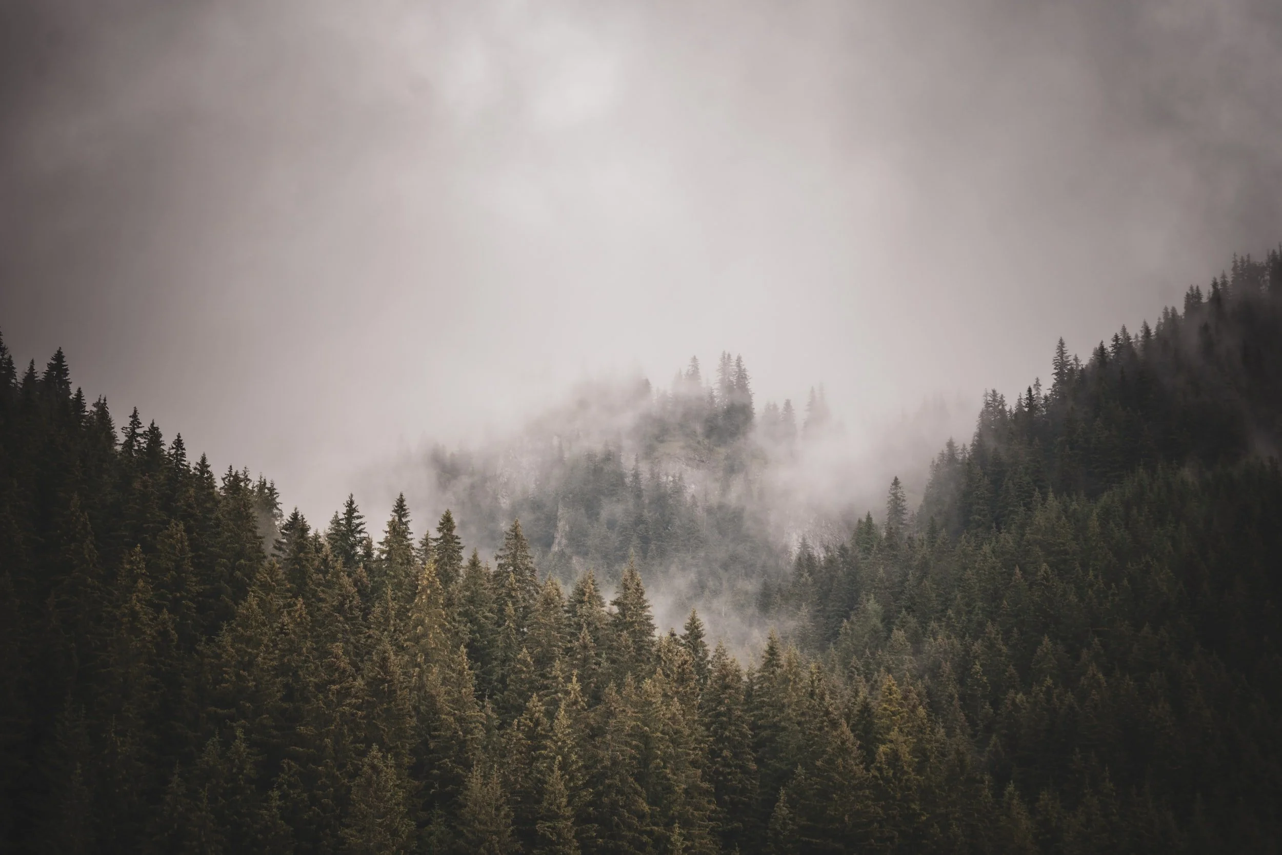 Gratitude as Emotional Bypassing