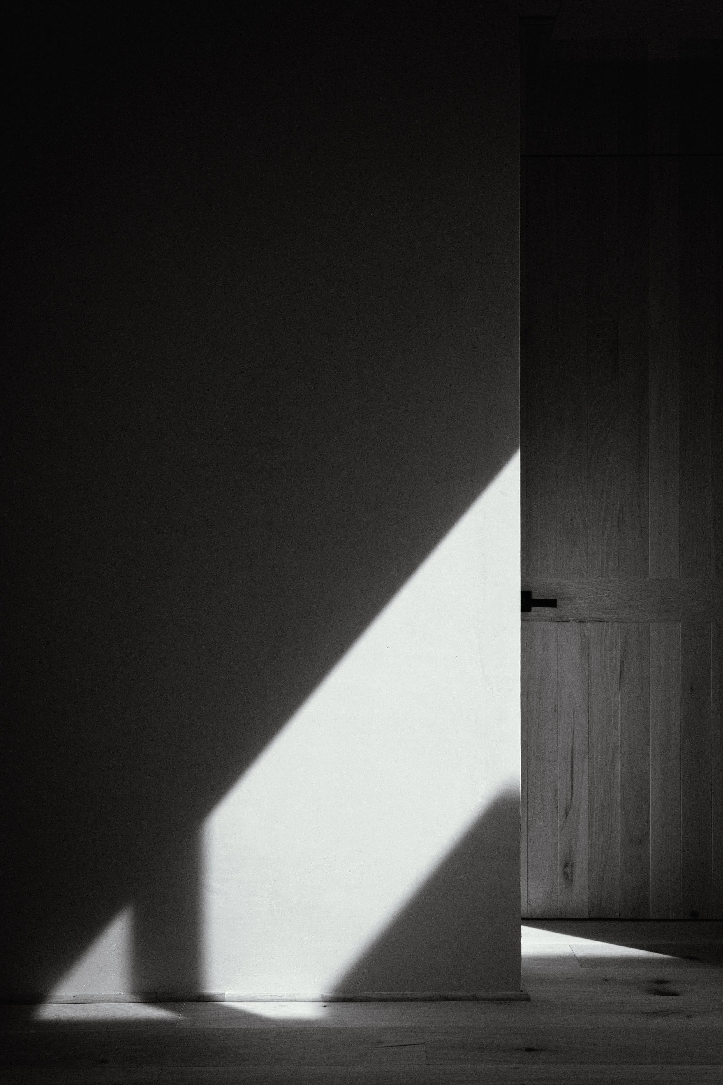 vert 006 luz detail.jpg