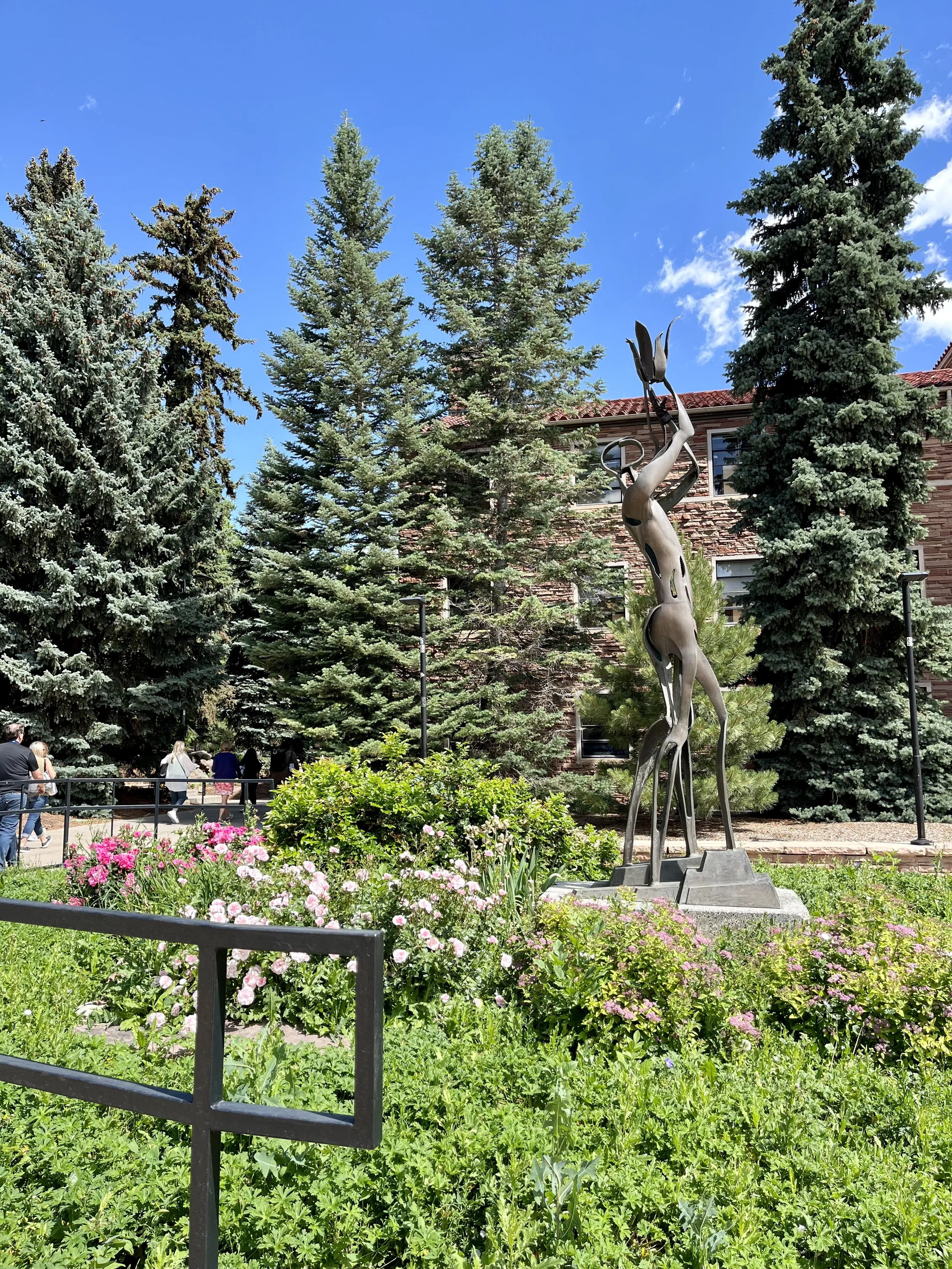 UC Boulder Campus Garden