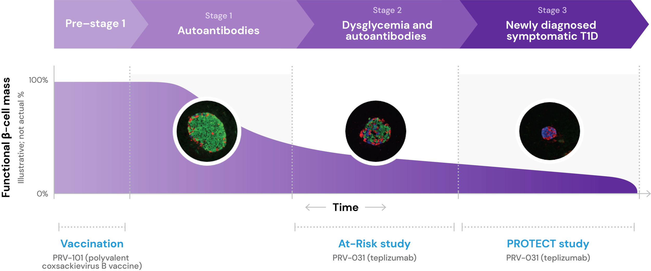 Intercepting Autoimmune Disease ProventionBio intercepting-autoimmune-disease-proventionbio