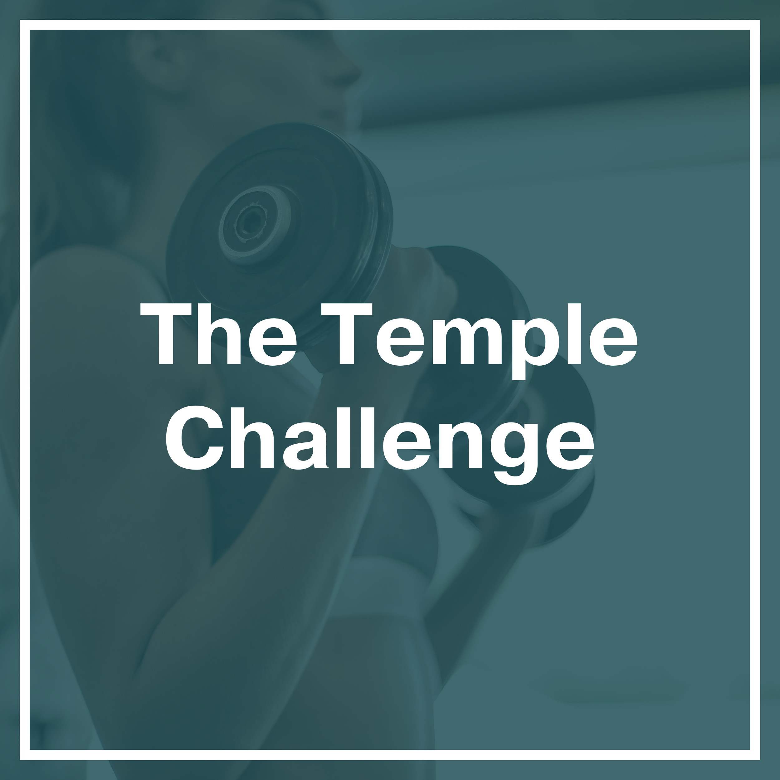 Explore how the Temple Challenge came to be and what we did to make this website attract thousands of visitors every month! 