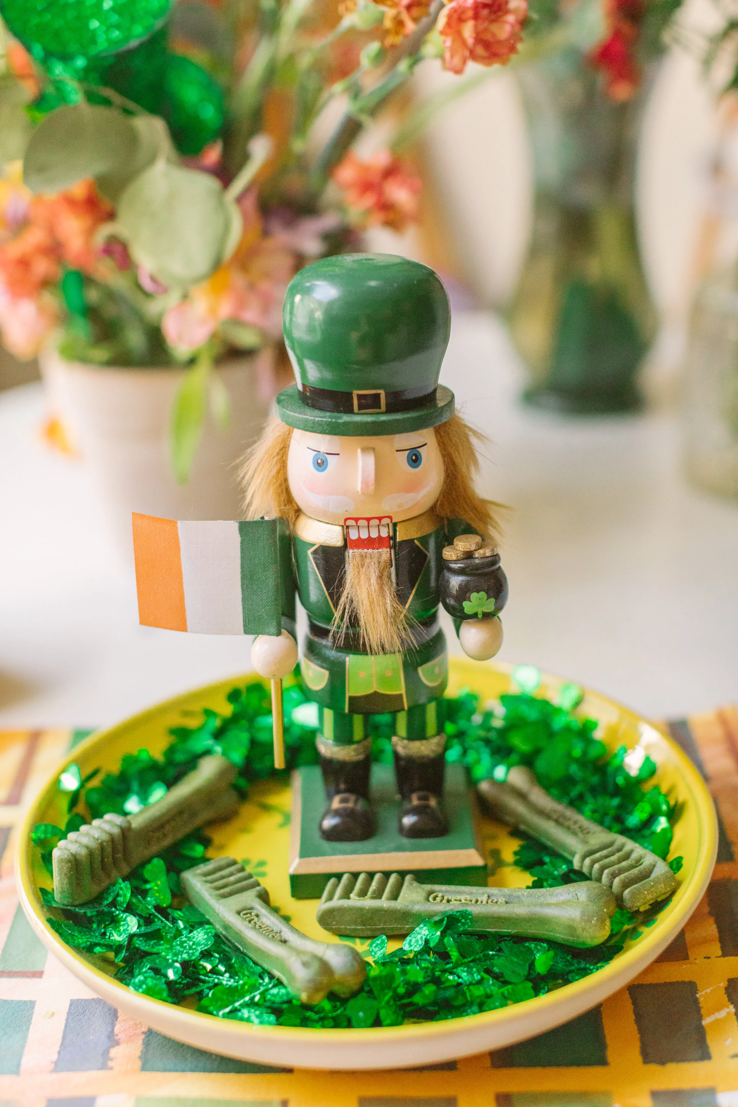 wanderlings.the.zine.suzanne.ofeldt.st.patricks.dog.dress.up1042.JPG