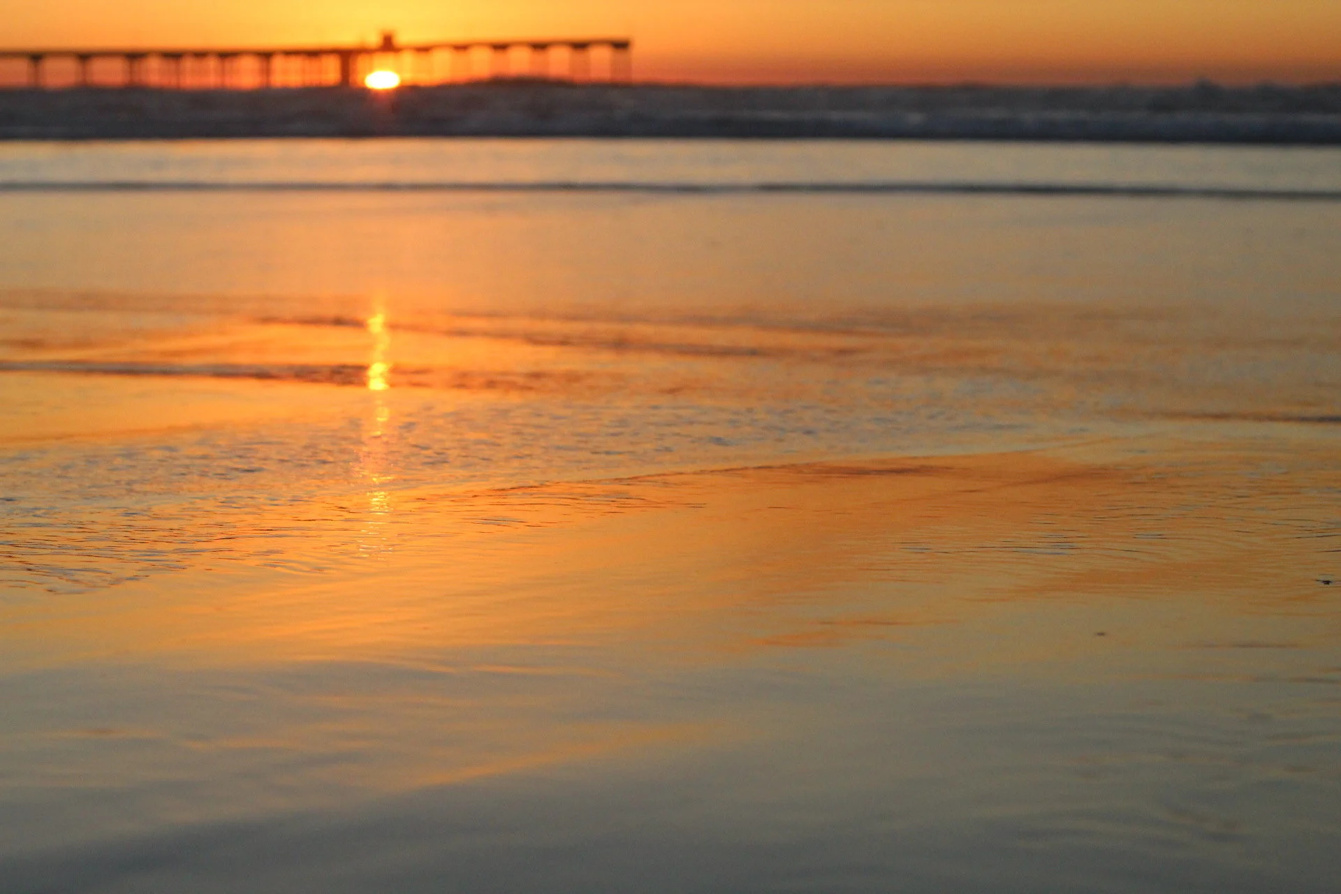 Wanderlings Point of View : Orange