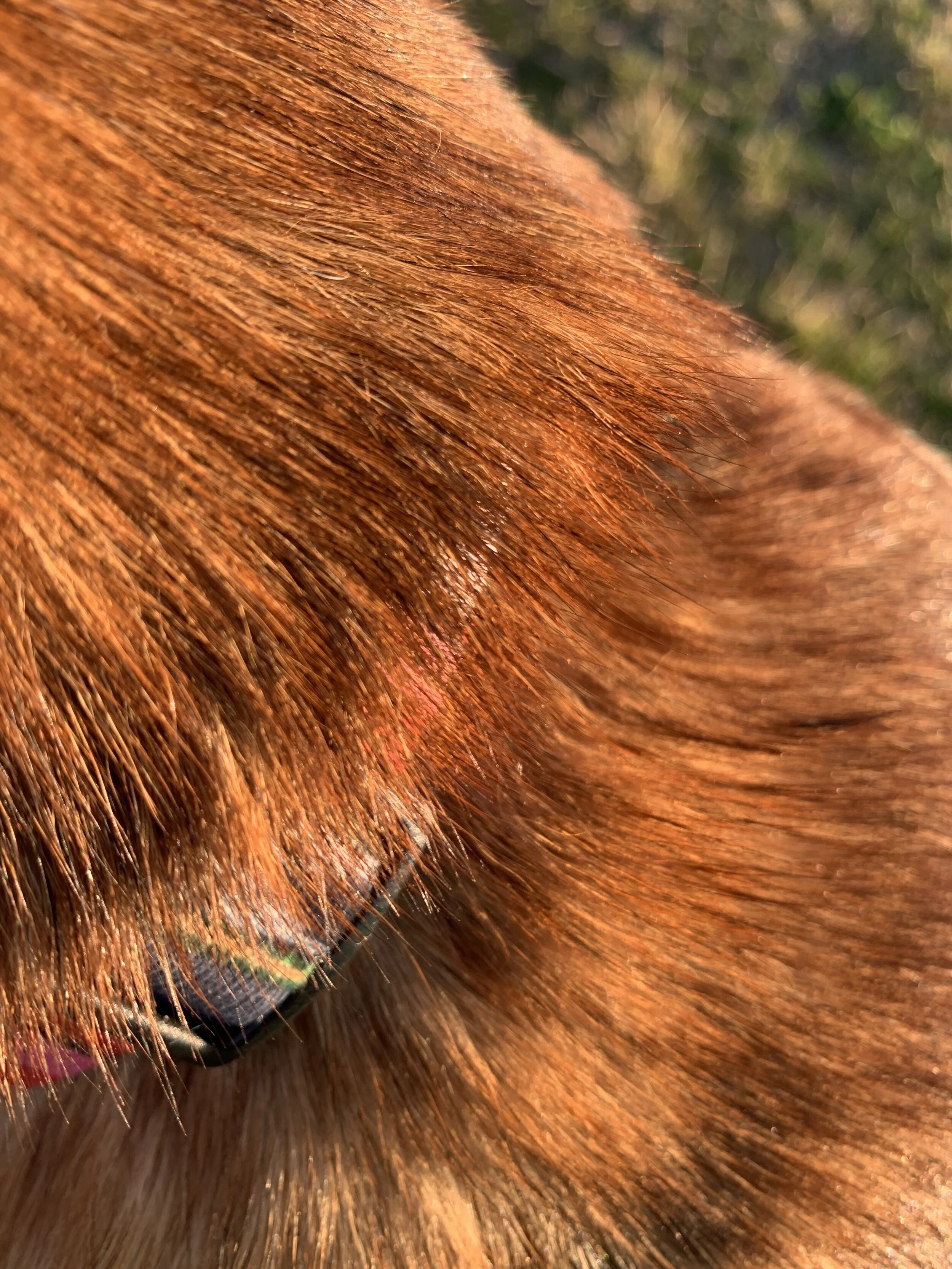 @jordanparsonsphotography