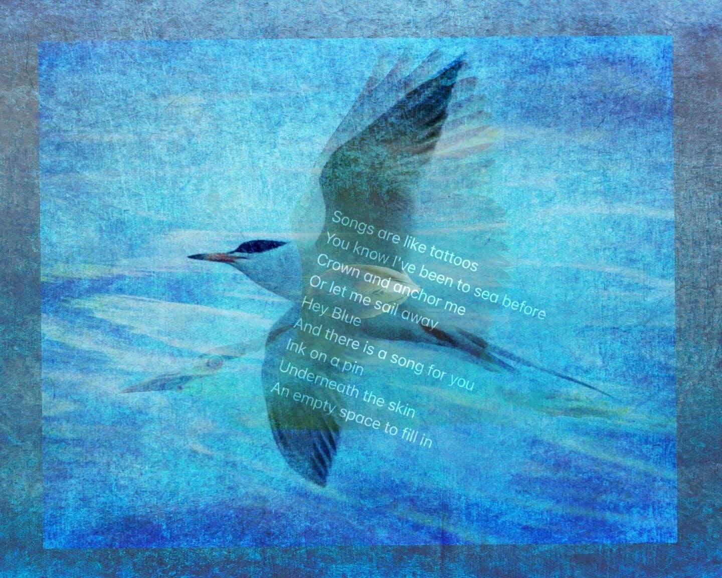  Bird flying blue poetic   Marcia Siggins Jonas @emsiggsjo 