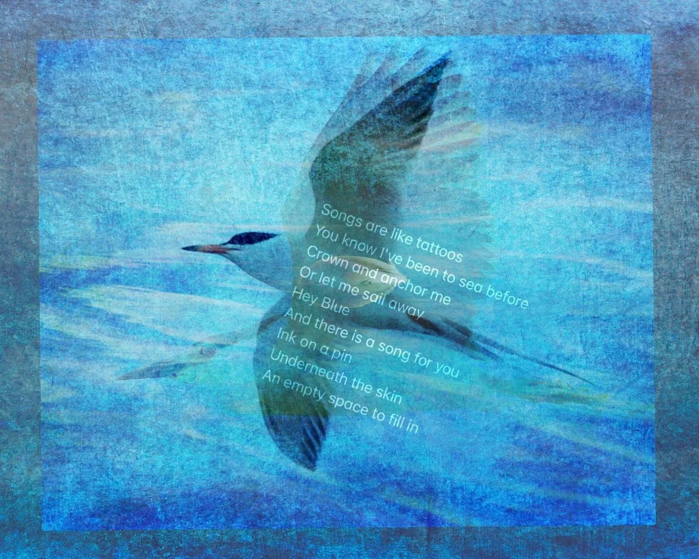 Bird flying blue poetic   Marcia Siggins Jonas @emsiggsjo