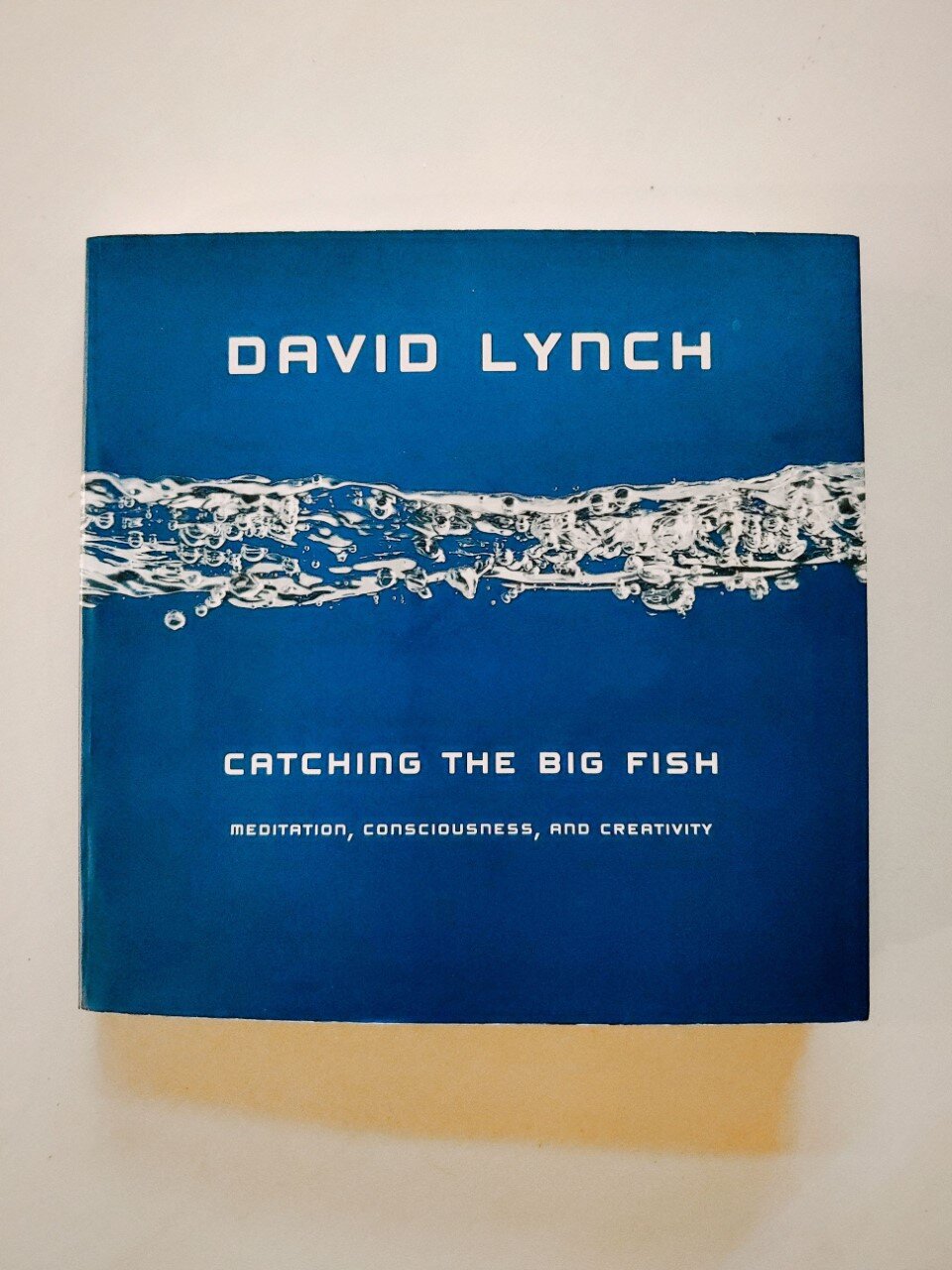  David Lynch book cover   Alycia Ripley @talentedmsripley 