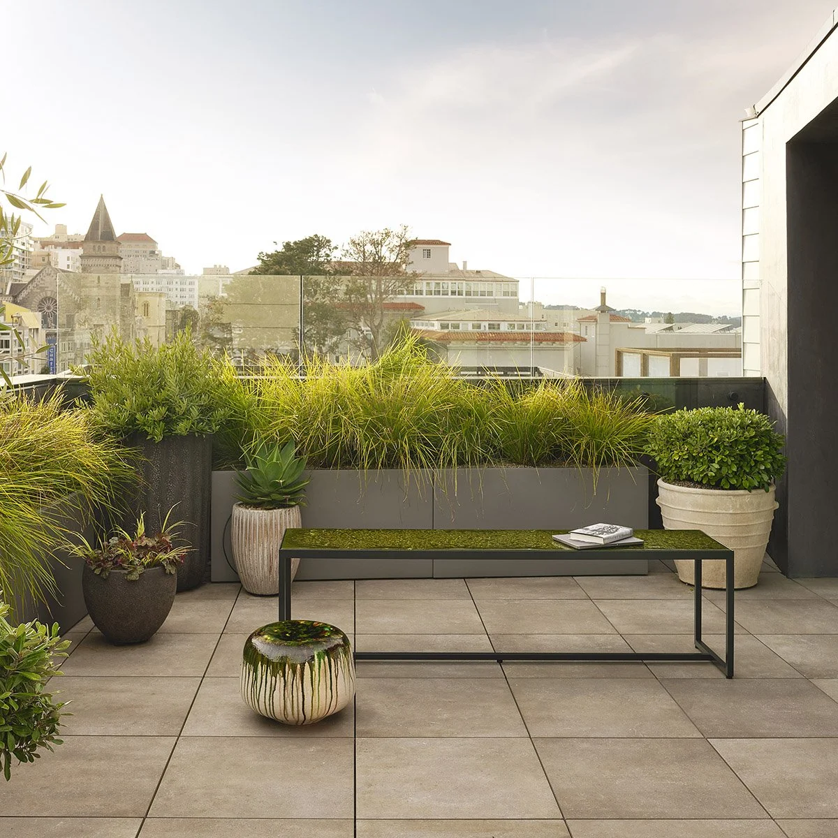 Roof terrace with plants