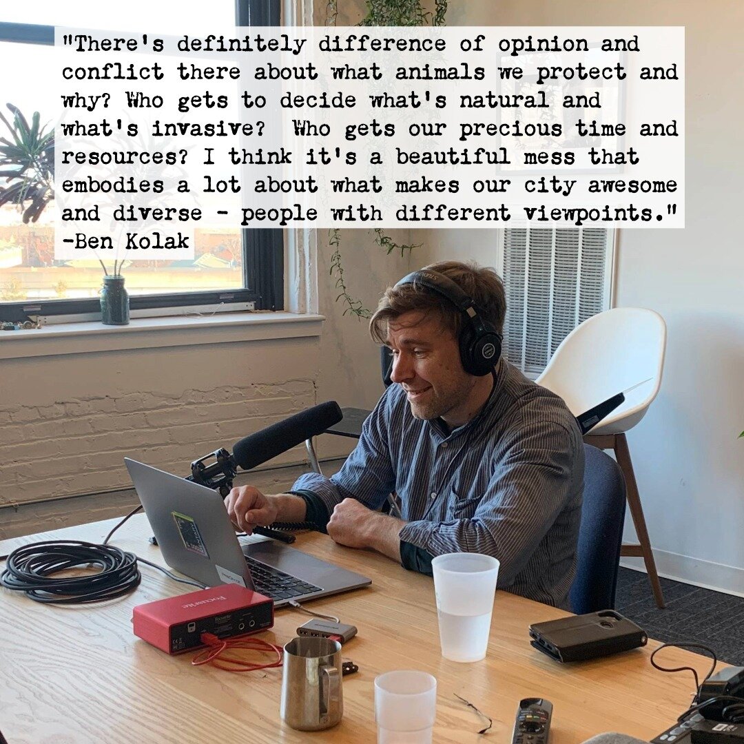 What&rsquo;s the deal with Chicago&rsquo;s feral cats? The latest @wbezcuriouscity dives into the answer which involves much more than a conversation about cats, but also rats, birds, and politics. The episode features Cat City director @benkolak and