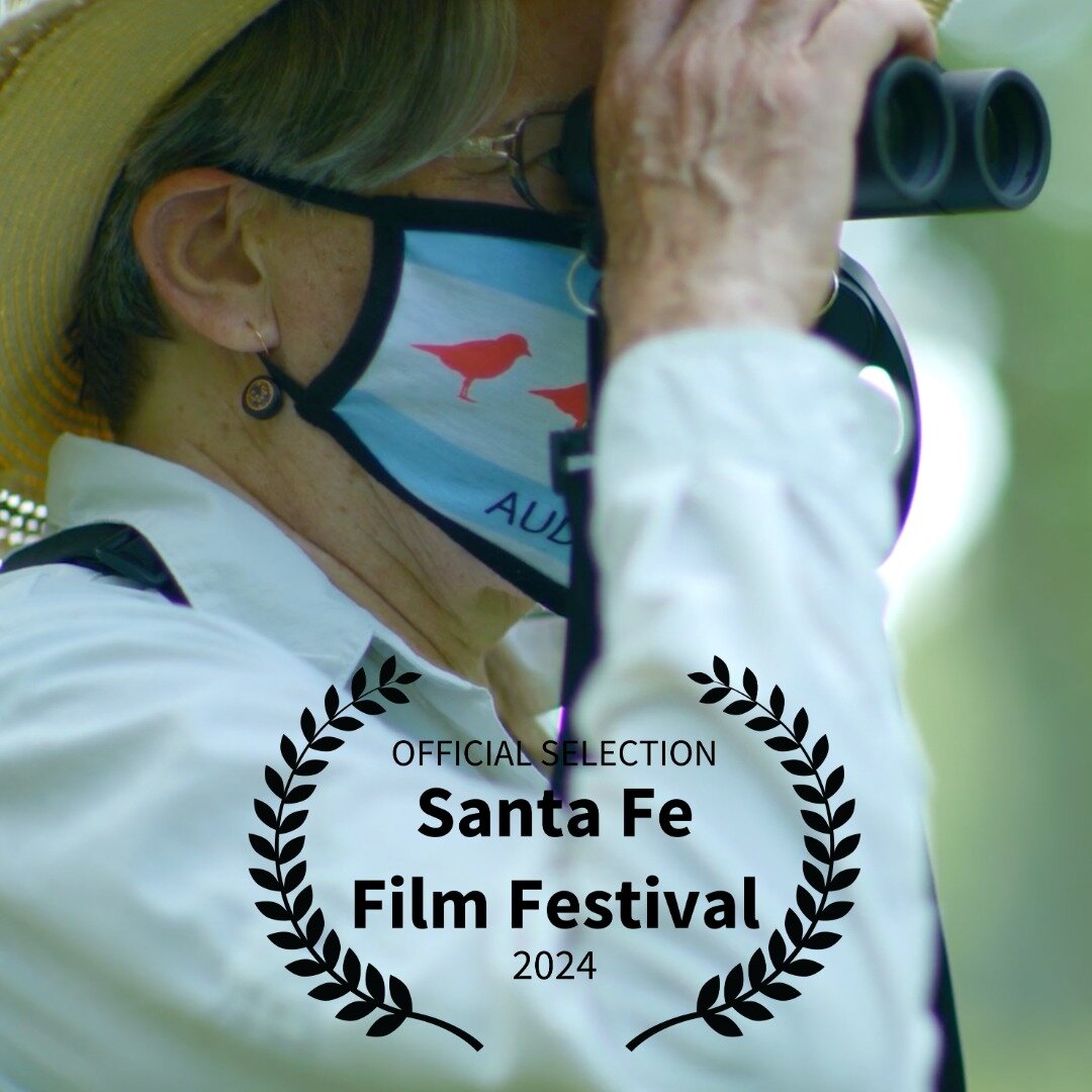 CAT CITY is an official selection of the @santafefilmfestival. Inaugurated in 1999, the #festival has continued for over 20 consecutive years, gathering filmmakers, journalists, industry professionals, and movie lovers from around the world to celebr