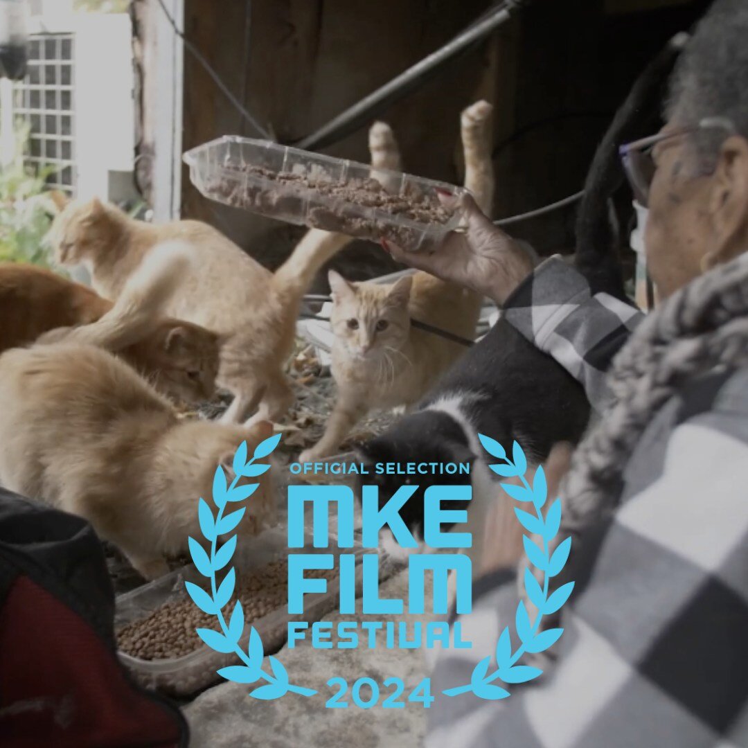 🎥 CAT CITY is an official selection of the Milwaukee Film Festival! We&rsquo;re grateful to be a part of  @mkefilm which is one of the nation&rsquo;s best attended film festivals and one of #Milwaukee&rsquo;s most beloved cultural events. CAT CITY w