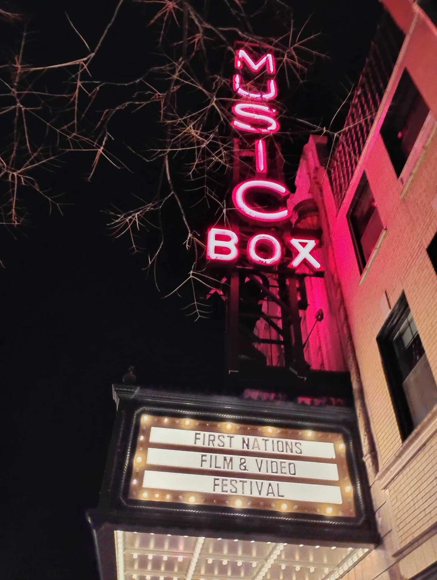 We&rsquo;re thankful for First Nations Film &amp; Video Festival, presenting films directed by Indigenous/Native American filmmakers from the United States, Canada, Central and South America, and Mexico for 35 years across Chicagoland.

T&amp;D was a