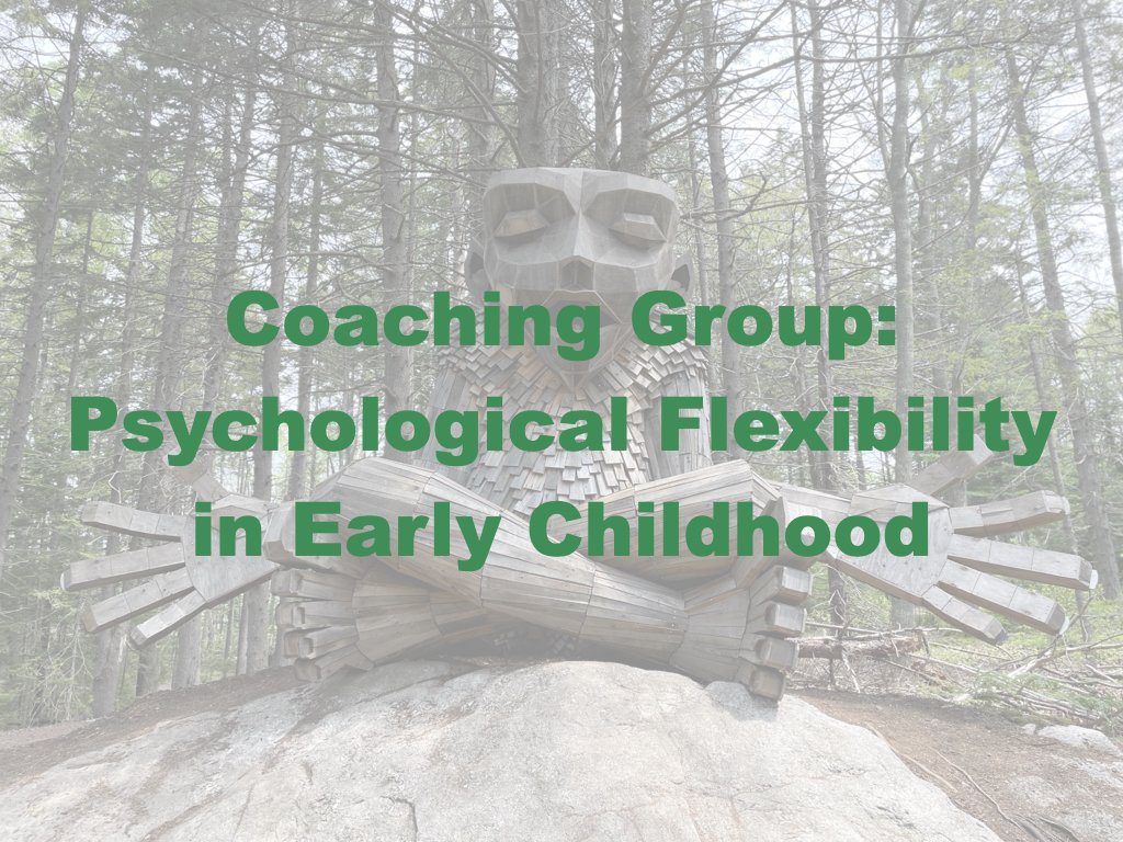 psych flex coaching image.001.jpeg